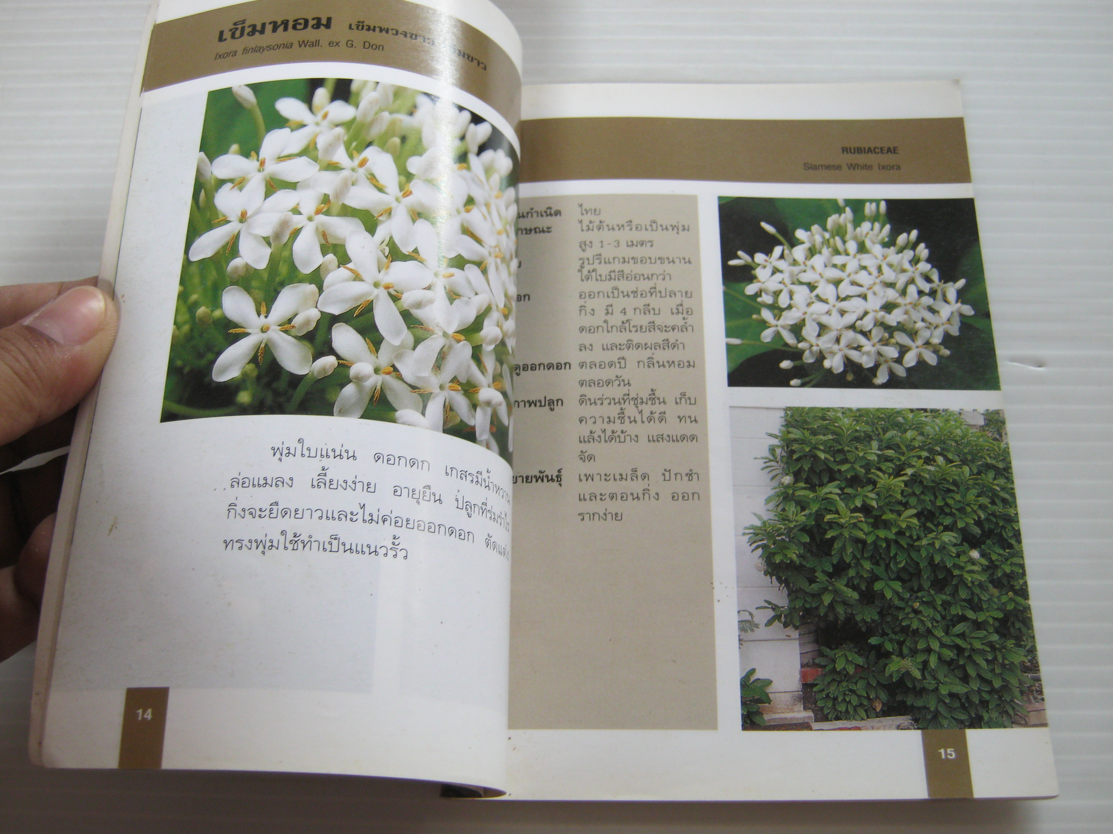 คู่มือคนรักต้นไม้ ไม้ดอกหอมสีขาว เล่ม 1 พิมพ์ครั้งที่ 2 วชิรพงศ์ หวลบุตตา เรียบเรียง***สินค้าหมด***