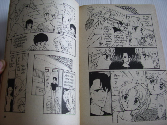 ดุจดั่งผีเสื้อ เล่ม 3 เล่มจบ