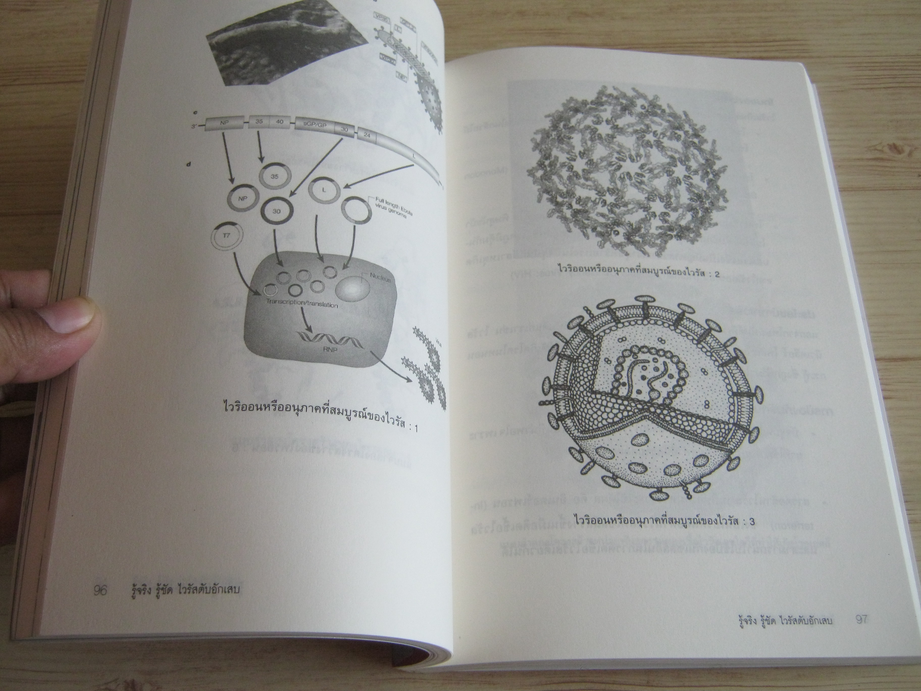 รู้จริง รู้ชัด ไวรัสตับอักเสบ + ชนิด เอ บี ซี ดี และอี พิมพ์ครั้งที่ 3 แพทย์หญิงมาลินี ศรีคำม้วน เขียน