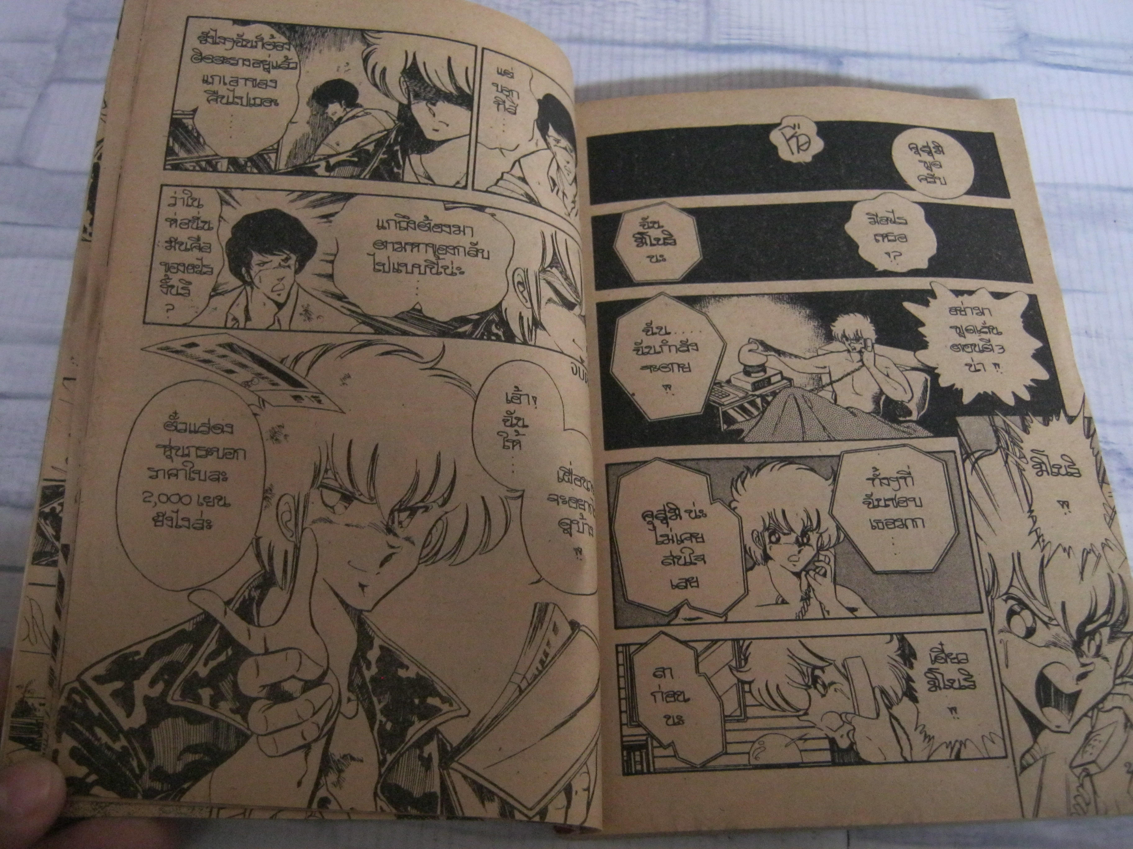 พิชิตทรชน เล่ม 6