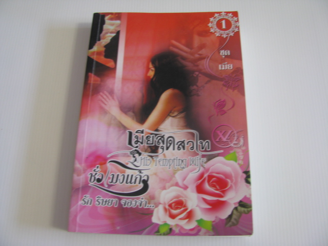 เมียสุดสวาท ชั่วโมงแก้ว เขียน***สินค้าหมด***