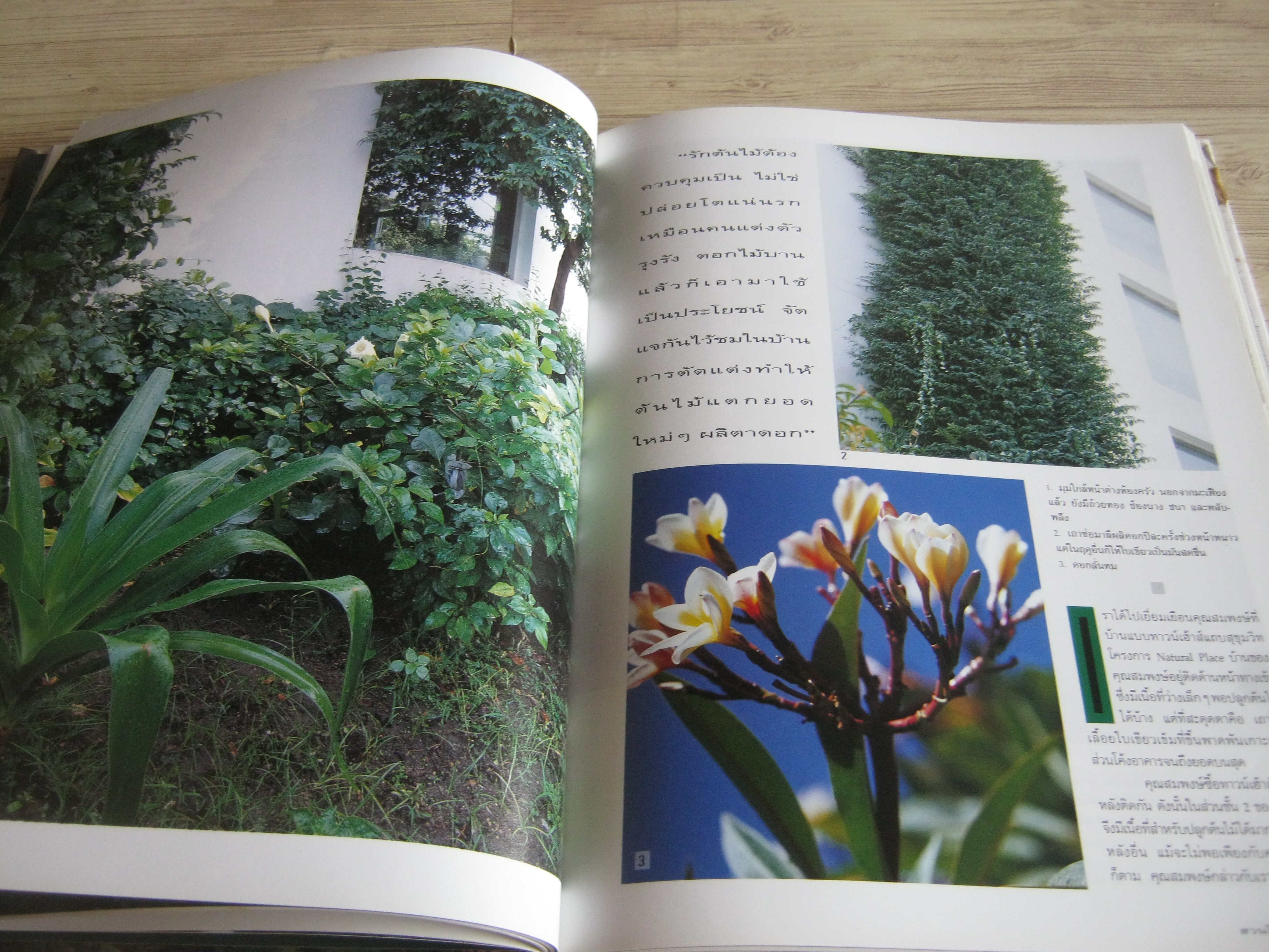 คู่มือการจัดและตกแต่ง สวนในบ้าน เล่ม 1 พิมพ์ครั้งที่ 14 โดย กองบรรณาธิการนิตยสารบ้านและสวน