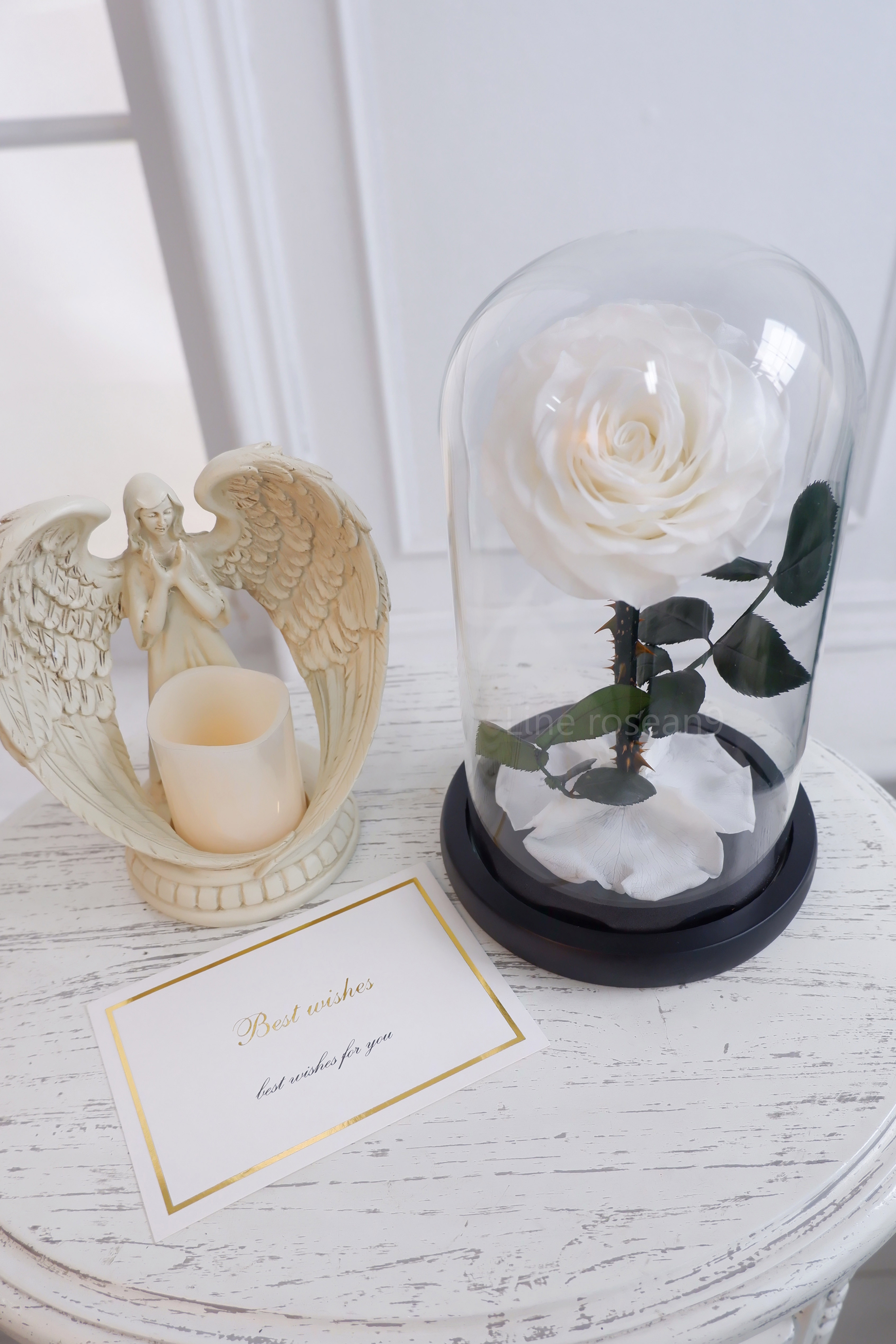 กุหลาบอมตะ กุหลาบในโหลแก้ว กุหลาบสีขาว preservedrose กุหลาบbeauty and the beast