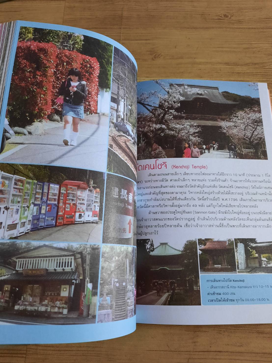 ใคร ๆ ก็ไปเที่ยวญี่ปุ่น เมื่อซากุระบานทั่วบ้านทั่วเมือง อดิศักดิ์ จันทร์ดวง เรื่องและภาพ