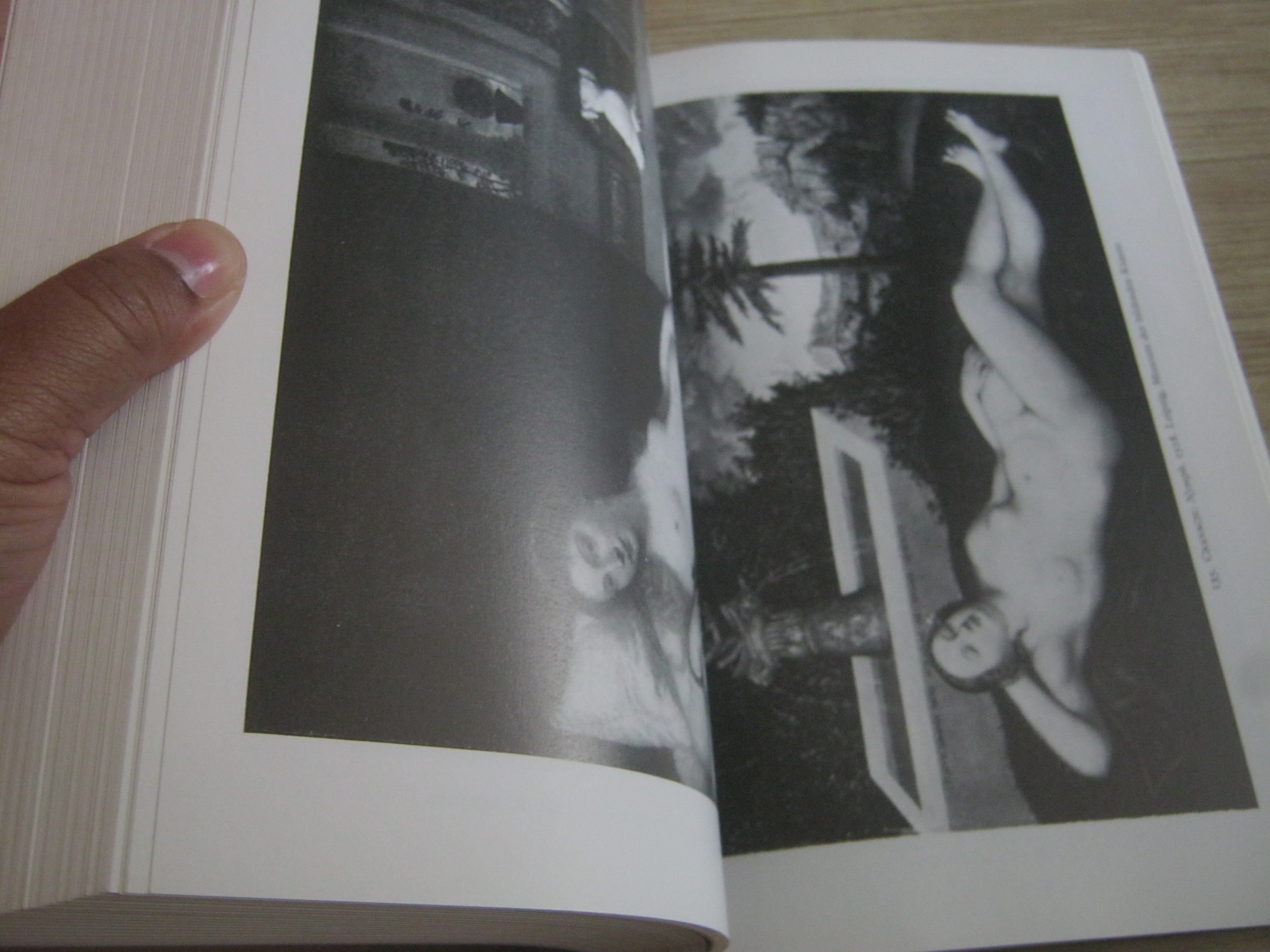 COMBRICH ON THE RENAISSANCE Volume 1 Norm and Form By E.H. Combrich***สินค้าหมด***