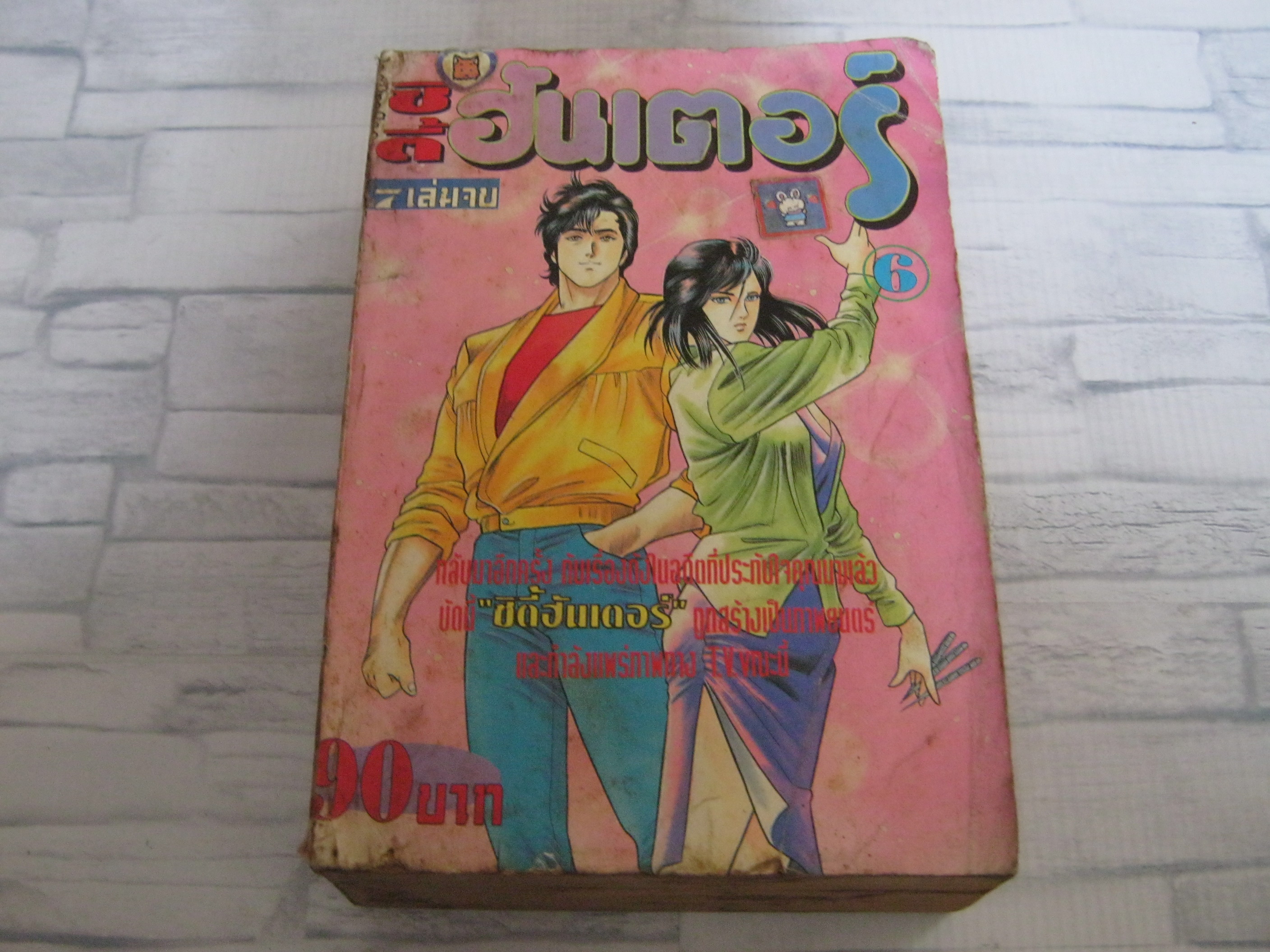 ซิดี้ฮันเตอร์ เล่ม 6 ( 7 เล่มจบ )