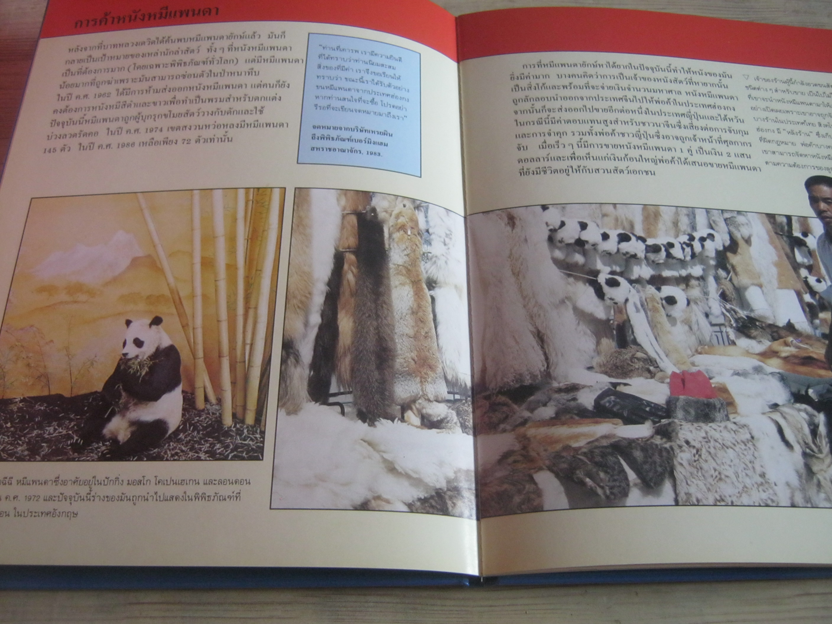 สารานุกรมชุดการอนุรักษ์สัตว์ป่า หมีแพนด้ายักษ์ ไมเคิล ไบรต์ เขียน ทัศพร ลือสิงหนาท แปล