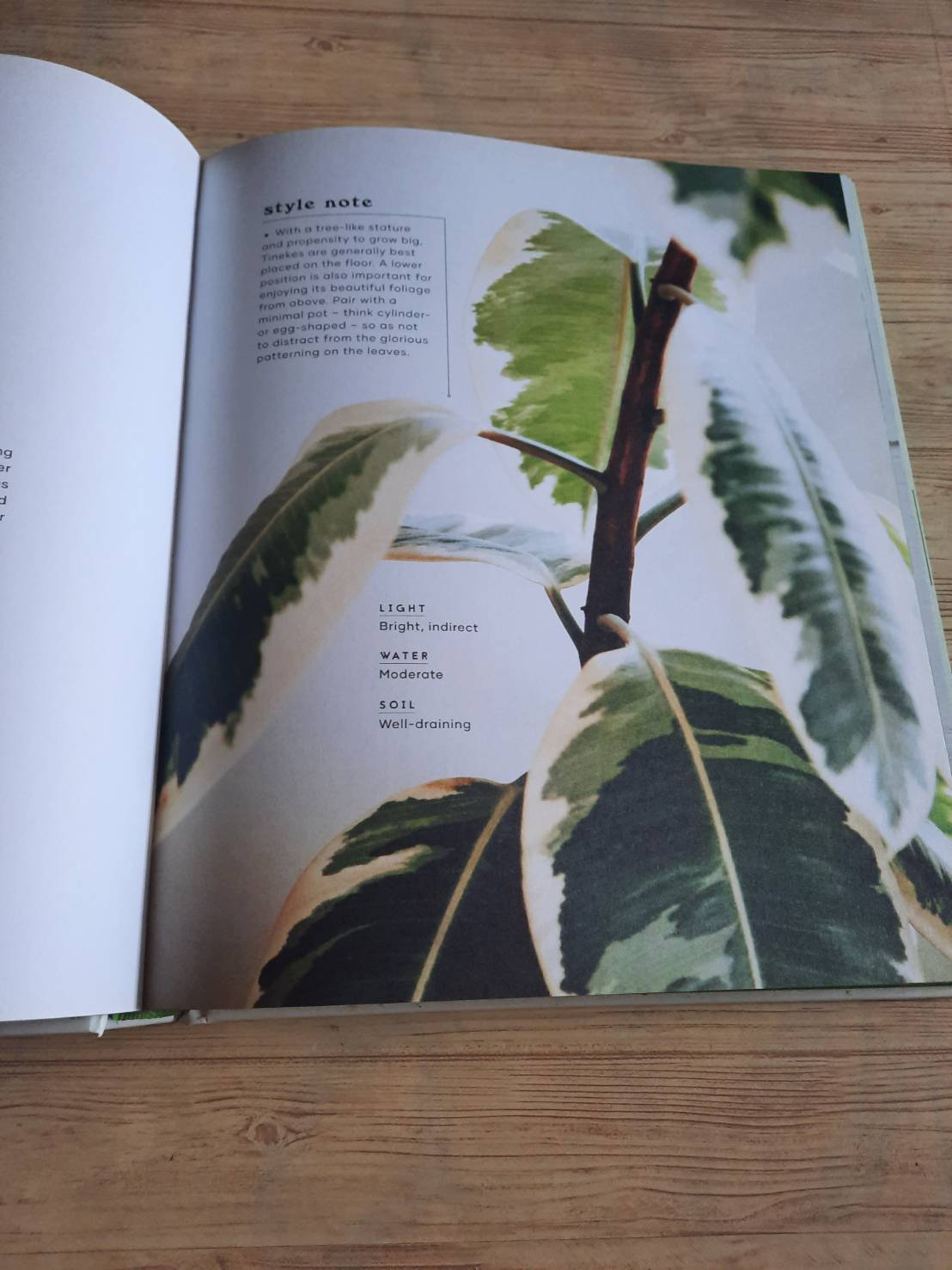 The Leaf Supply Guide to Greating Your Indoor Jungle By Lauren Comilleri + Sophia Kaplan (ปกแข็ง)