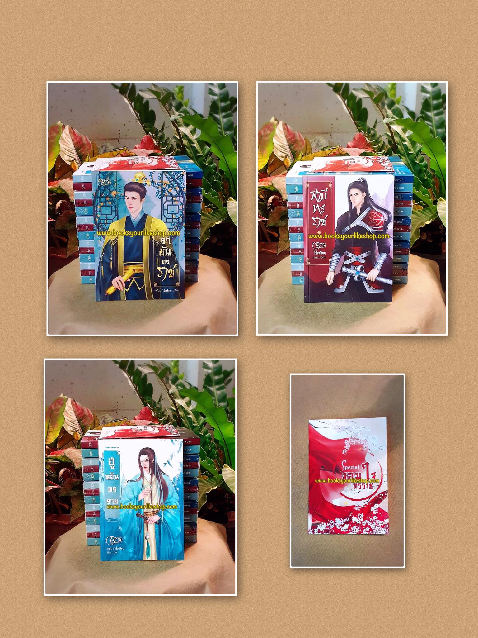 นิยายจีนโบราณชุด จอมใจทรราช 3 เล่ม ,ผู้แต่ง ไป๋เหลียน,สนุกแนะนำค่ะ ***มือสองแม่ค้าอ่านคนเดียว***