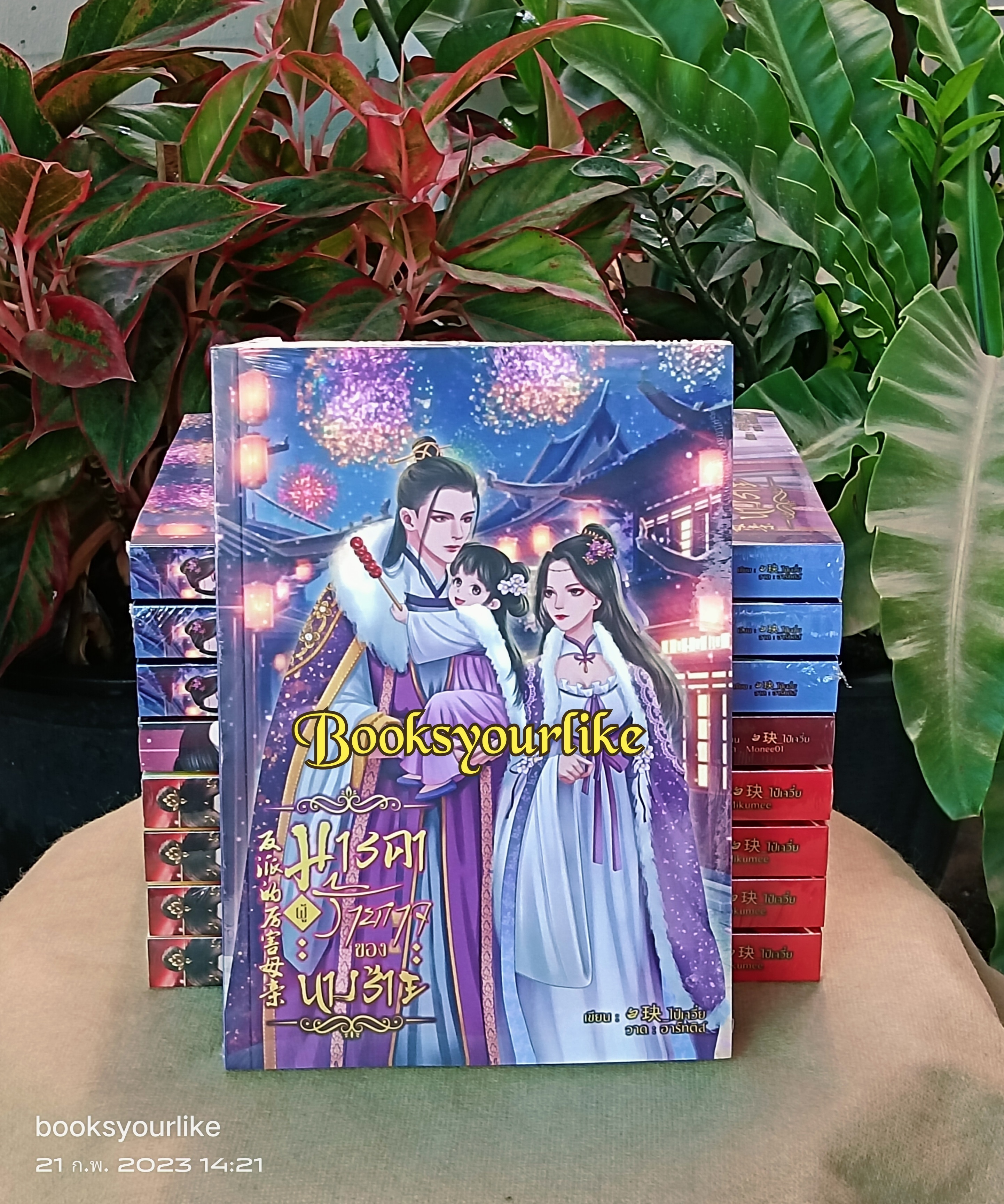 มารดาผู้ร้ายกาจของนางร้าย,ผู้แต่ง,ไป๋เจวี๋ย,นิยายรักทำมือจีนโบราณ สนุกแนะนำค่ะ
