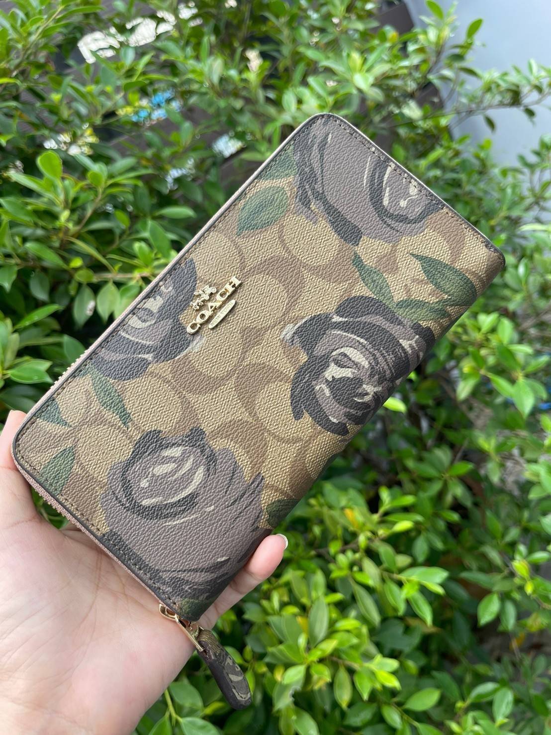 COACH ACCORDION ZIP WALLET IN SIGNATURE CANVAS WITH DAISY BUNDLE / MEADOW PRAIRIE / SPACED WILDFLOWER / DAISY BUNDLE PRINT C0033/F31778/69832 กระเป๋าสตางค์ใบยาว ลวดลายน่ารักน่าใช้มากๆ พื้นเป็นลายซีเอกลักษณ์ วัสดุหนังแคนวาสเคลือบลาย เปิด-ปิดด้วยซิปรอบ ใส่ม