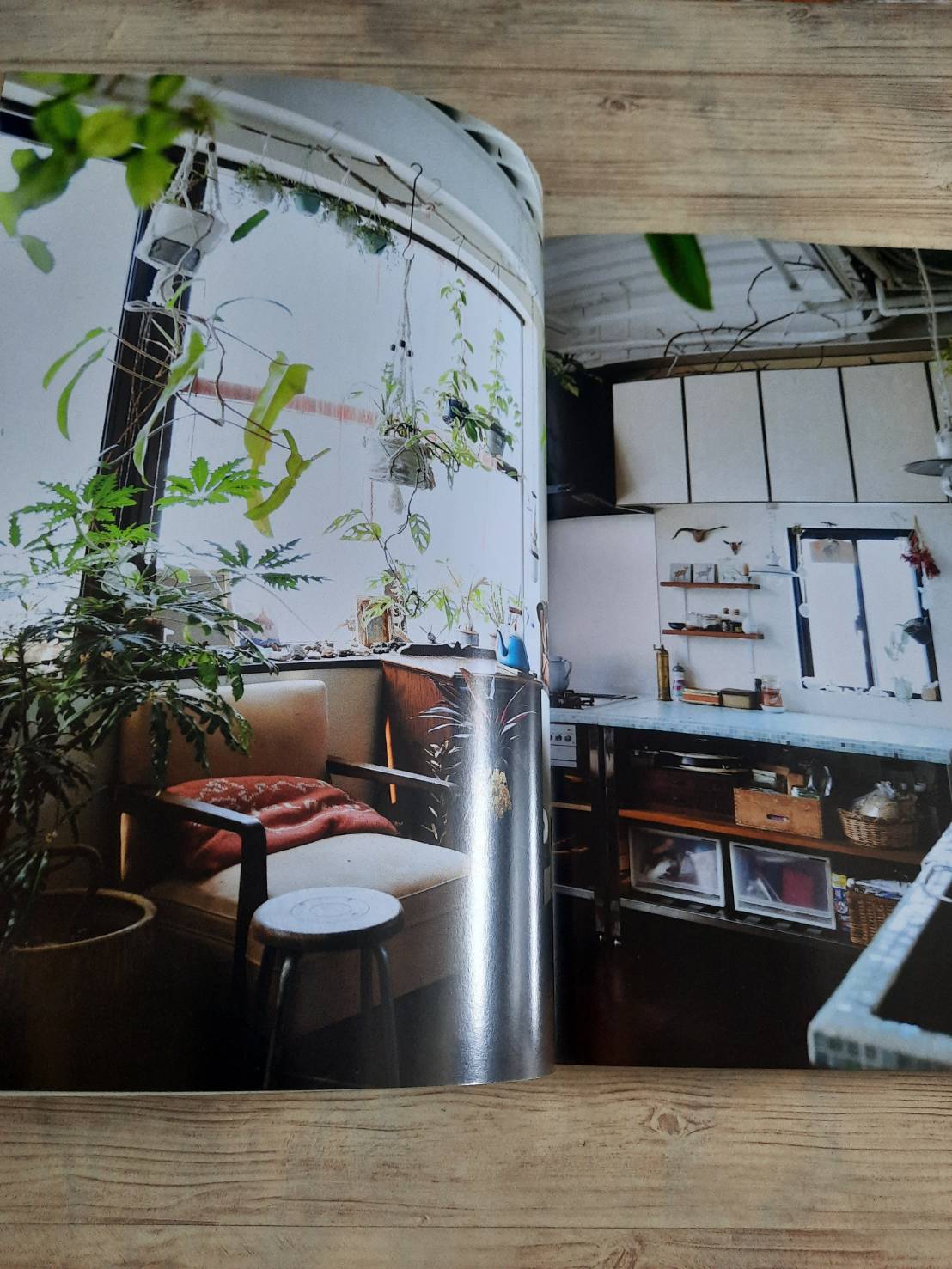 Indoor Green Living with Plants By Mr.Kitly's Bree Claffey Photography By Lauren Barnford