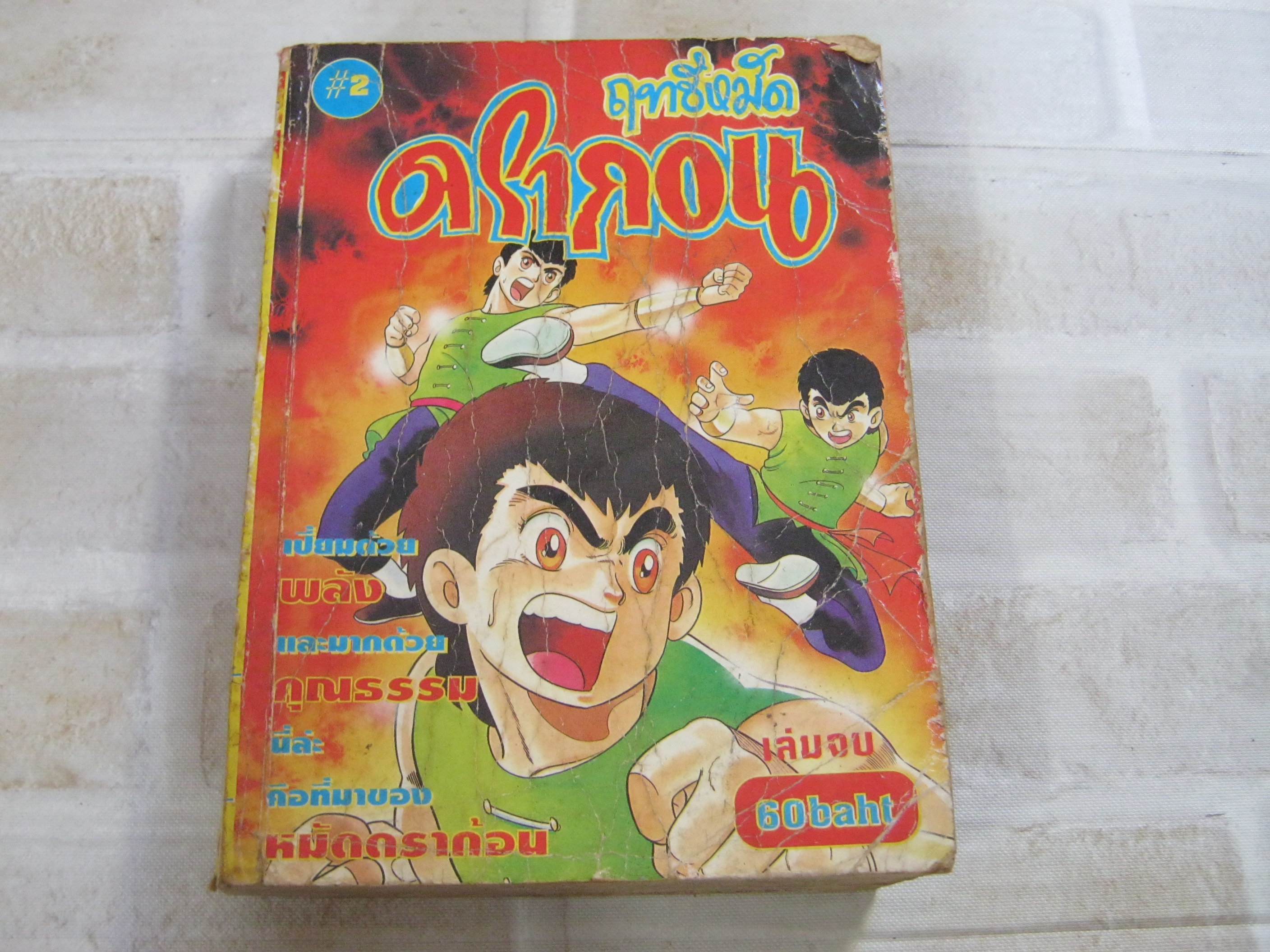 ฤทธิ์หมัดดรากอน เล่ม 2 (เล่มจบ)***สินค้าหมด***