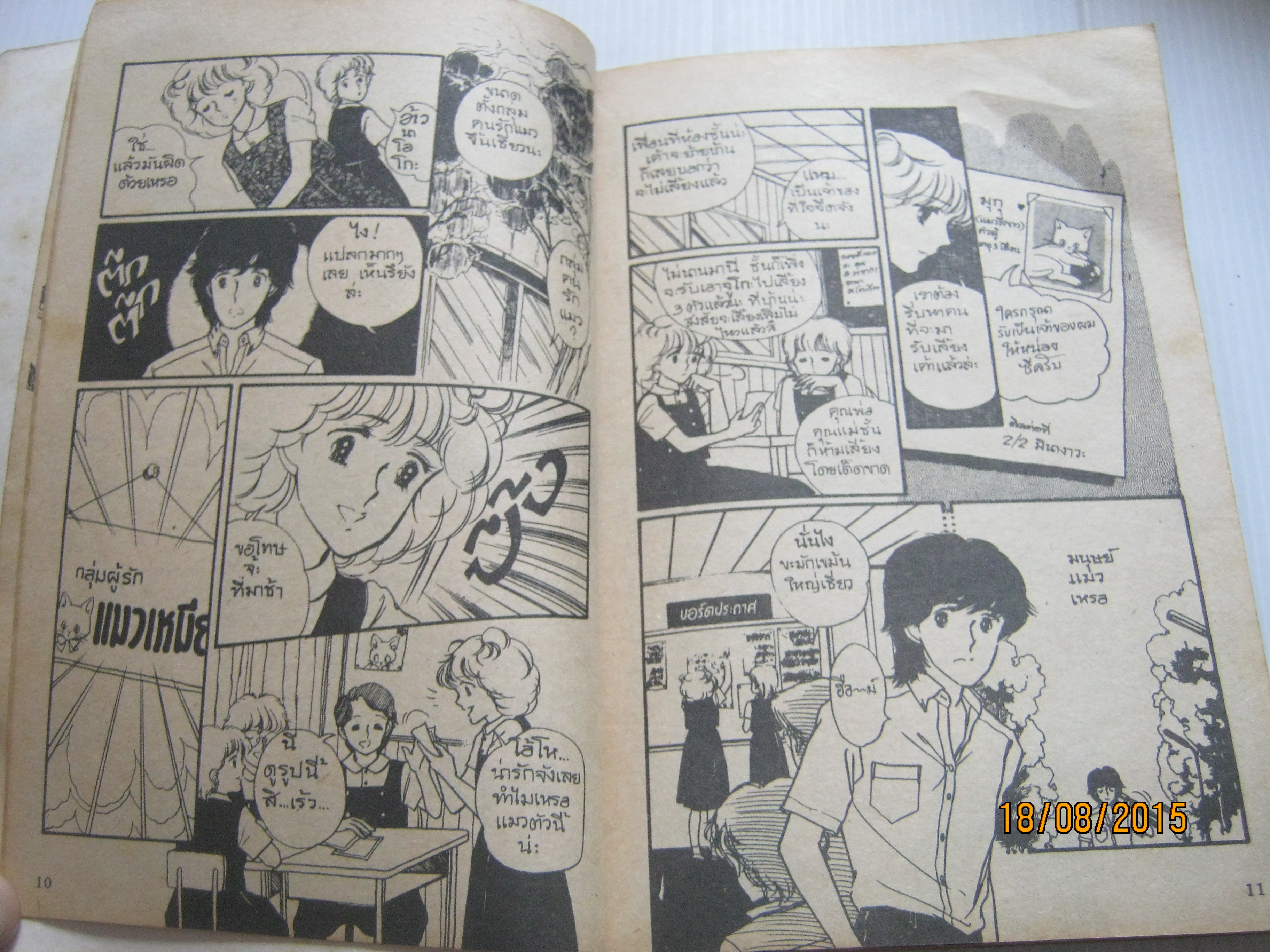 ราศีเดียวกัน เล่มเดียวจบ อามุ ทานิกุจิ เขียน