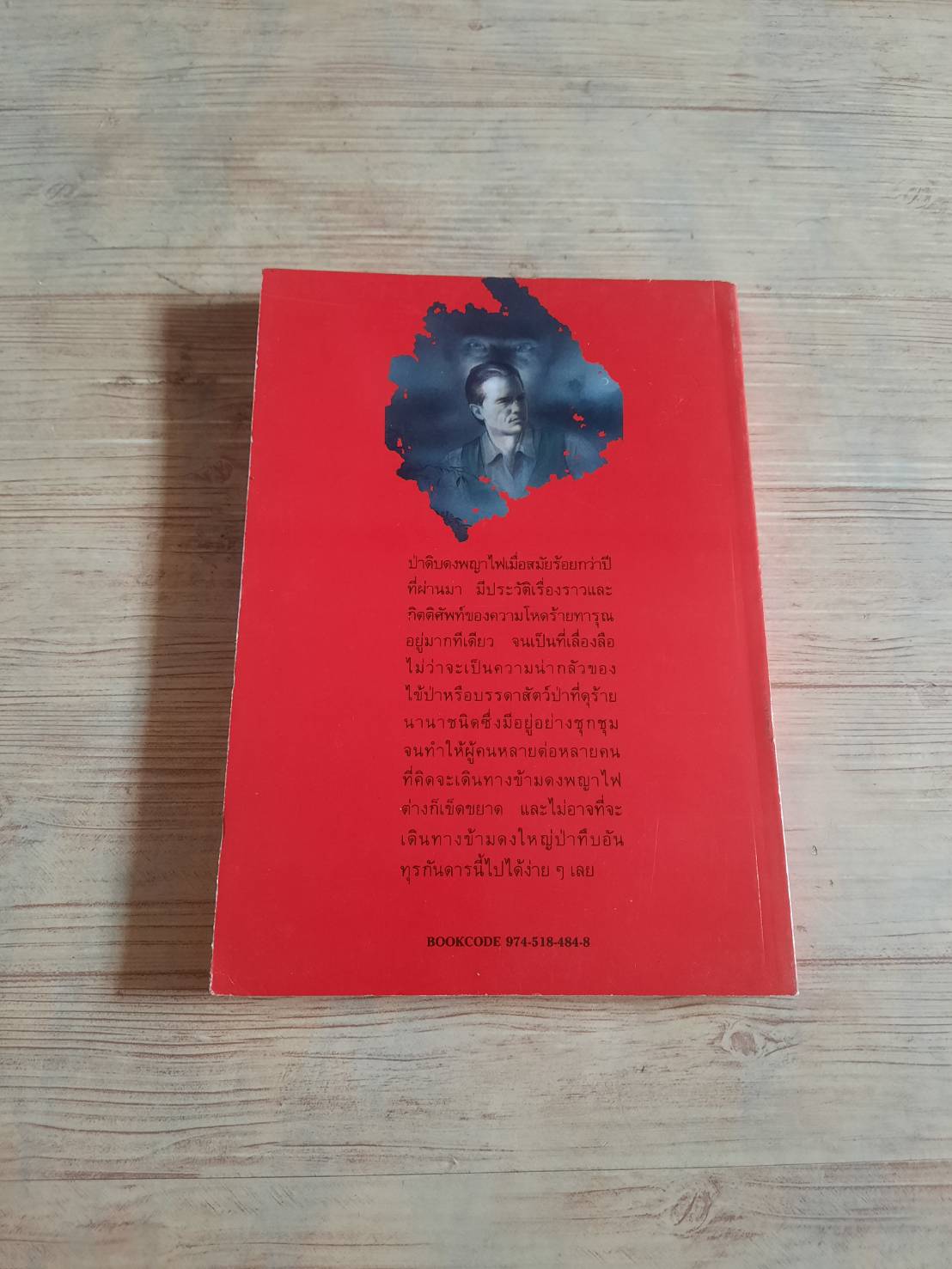 อาถรรพ์ป่า สมัย สุทธิธรรม เขียน***สินค้าหมด***