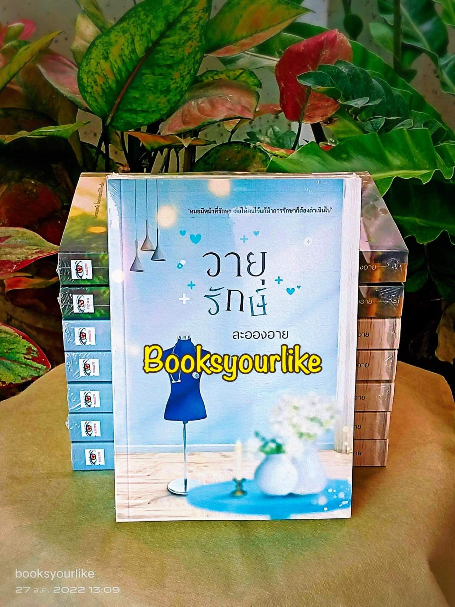 วายุรักษ์,ผู้แต่ง,ละอองอาย,นิยายรักทำมือ สนุก แนะนำค่ะ