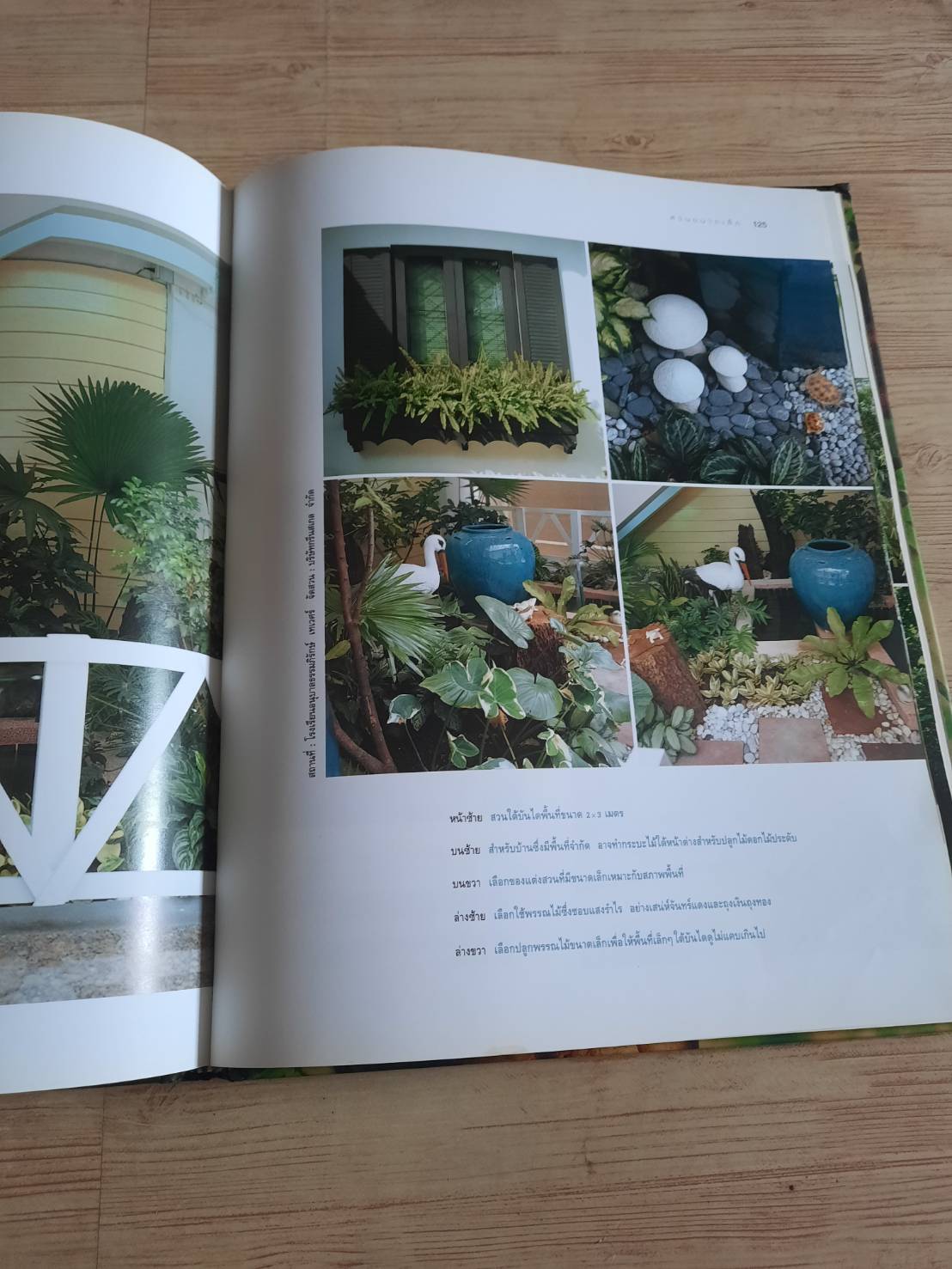 สวนในบ้าน เล่ม 12 สวนขนาดเล็ก พิมพ์ครั้งที่ 7 โดย กองบรรณาธิการสำนักพิมพ์บ้านและสวน