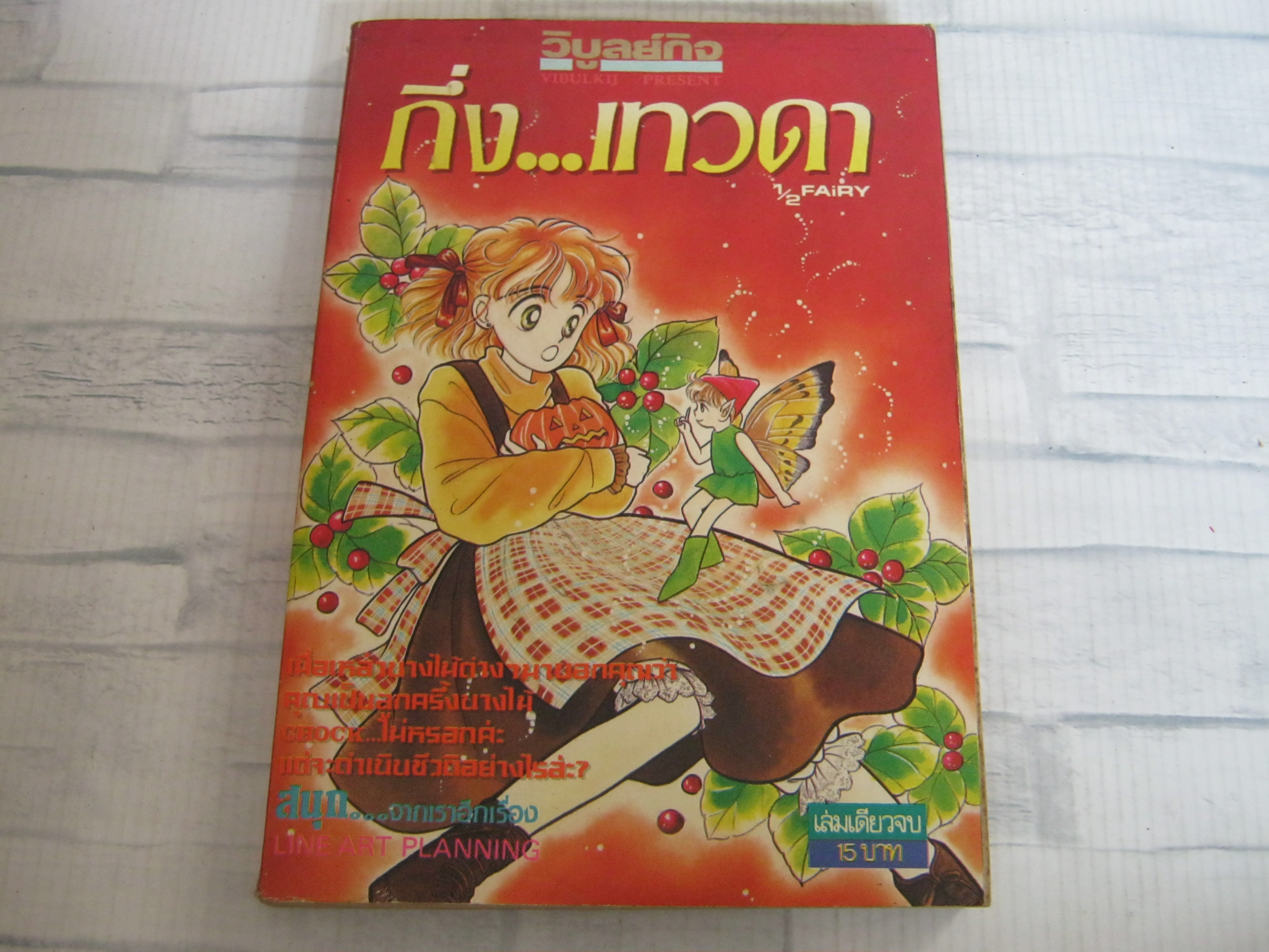 กิ่งเทวดา 1/2 FAIRY เล่มเดียวจบ***สินค้าหมด***
