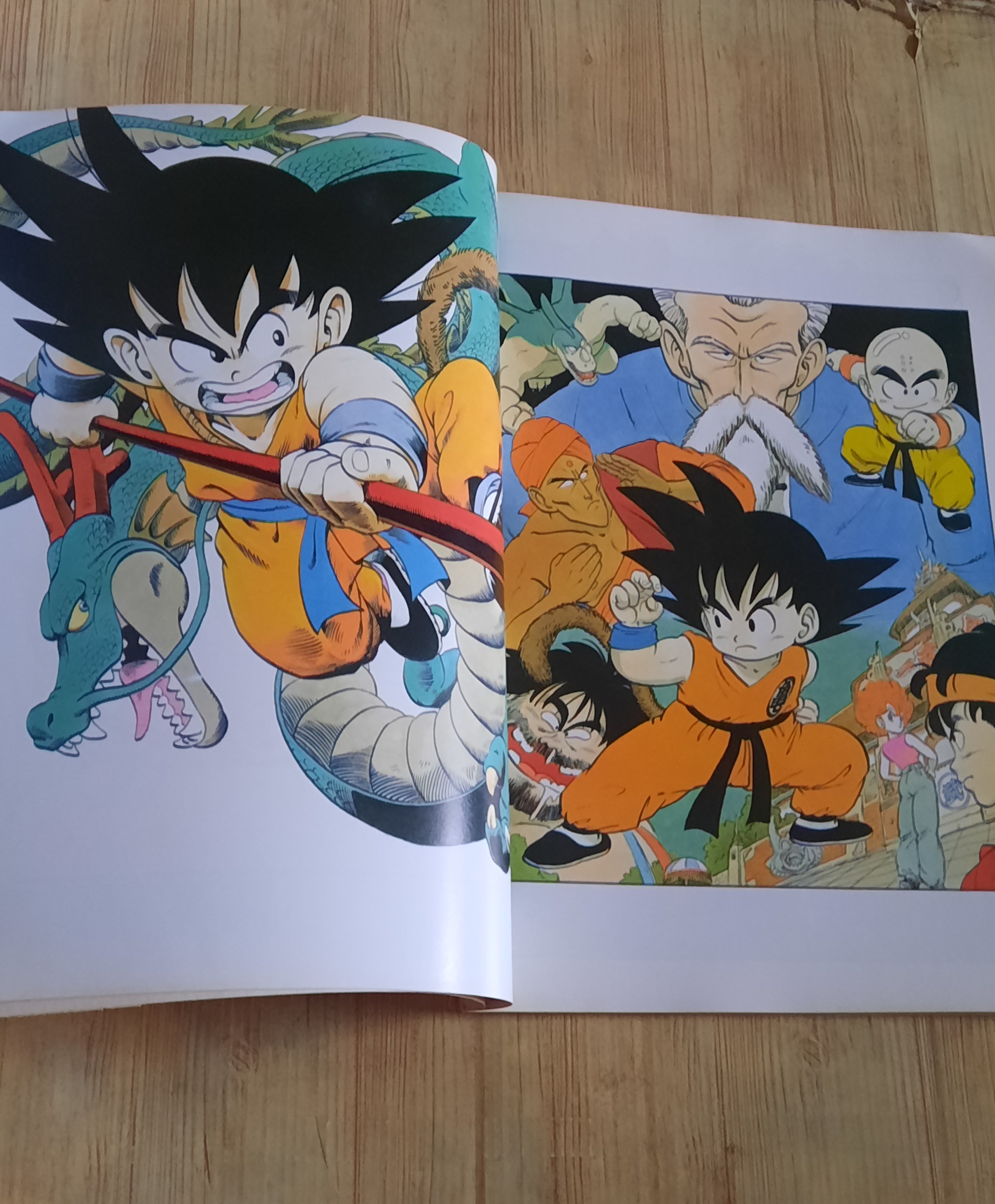 อัลบั้มภาพสีรวมผลงาน โทริยามะ อากิระ