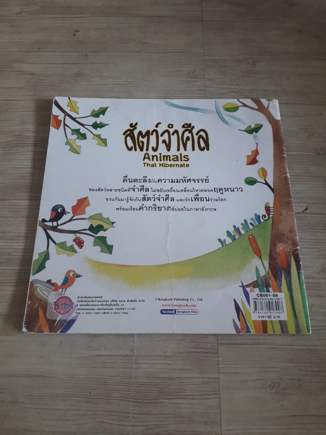 นิทานสองภาษา ไทย-อังกฤษ สัตว์จำศีล (Animals That Hibernate) สองขา เรื่อง คาริญย์ หึกขุนทด ภาพ สองขาและอาบี้ โซเฟน ภาพ***สินค้าหมด***