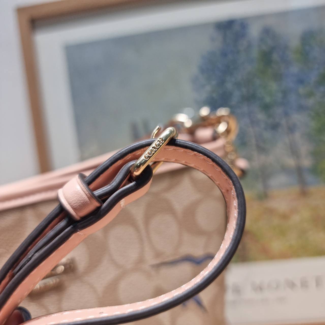 CU394 COACH x OBSERVED BY US CITY BUCKET BAG IN SIGNATURE CANVAS กระเป๋าทรงบัคเก็ต ดีไซน์ลวดลายดอกไม้น่ารักน่าใช้ เกรดท็อปออริ 1:1 สลับแท้