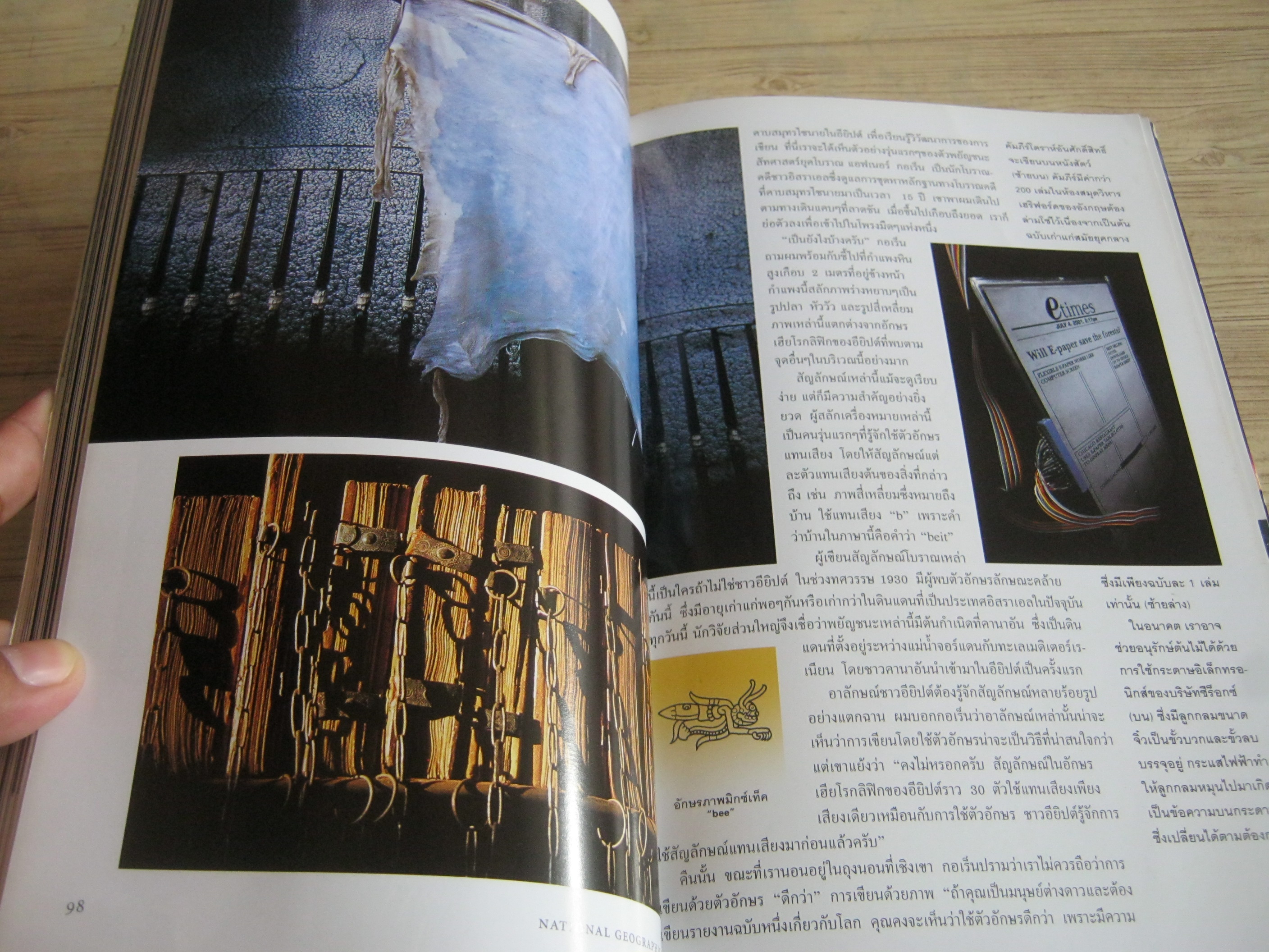 NATIONAL GEOGRAHIC ฉบับภาษาไทย กันยายน 2545 เมียร์แคต ยืนหยัดสู้โลก