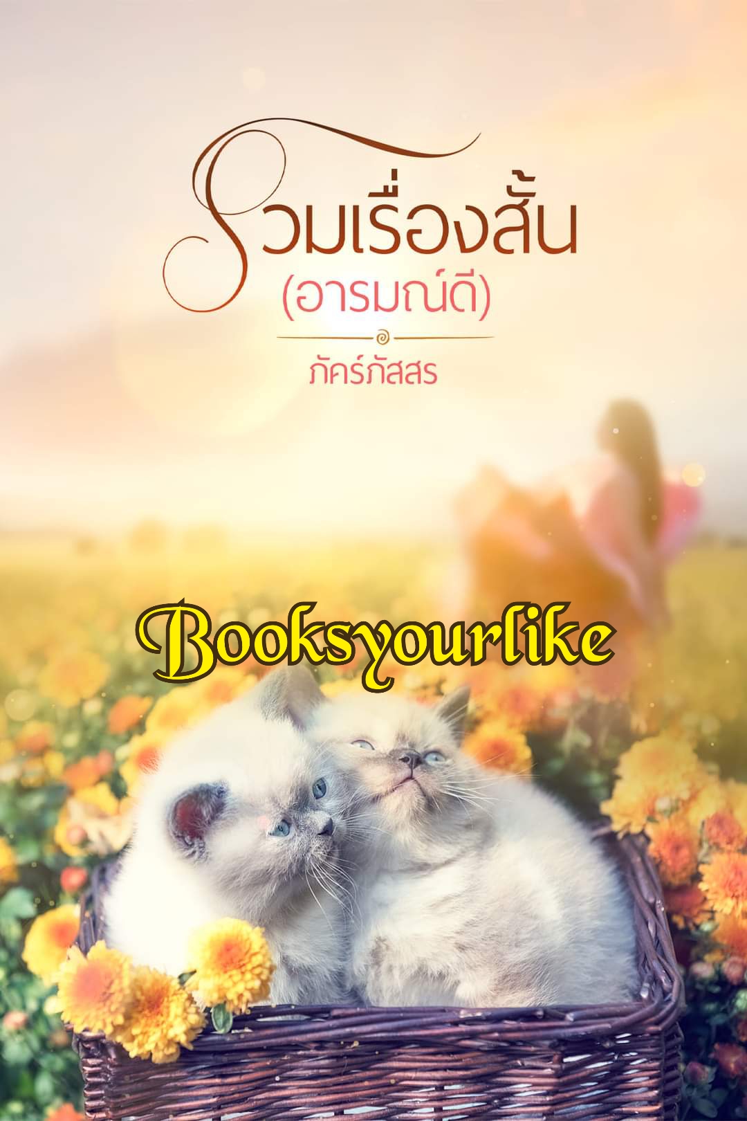 รวมเรื่องสั้น,ผู้แต่ง,ภัคร์ภัสสร,นิยายรักทำมือ