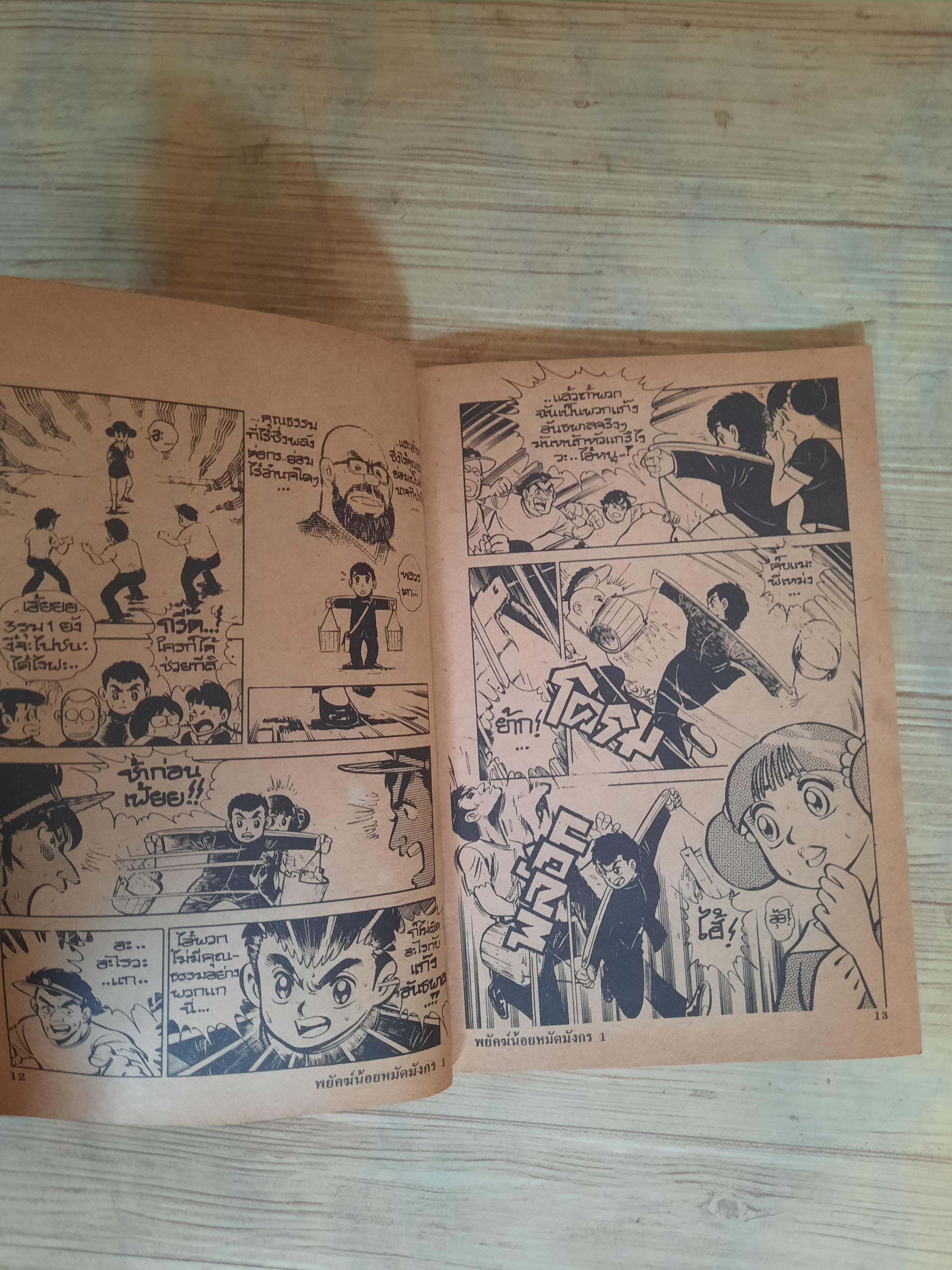 พยัคฆ์น้อยหมัดมังกร เล่ม 1