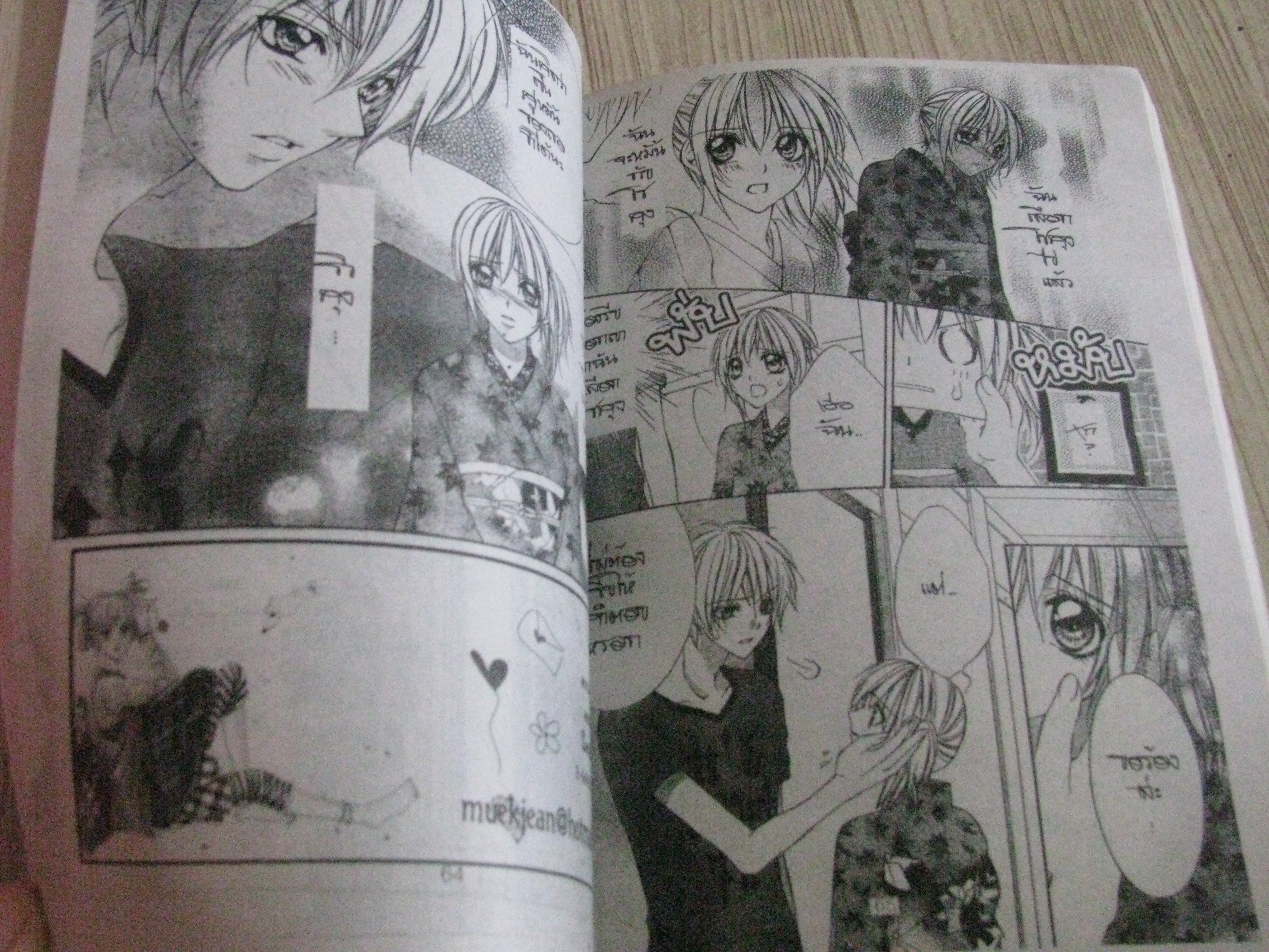 เจ้าสาวจําเป็น เล่มเดียวจบ