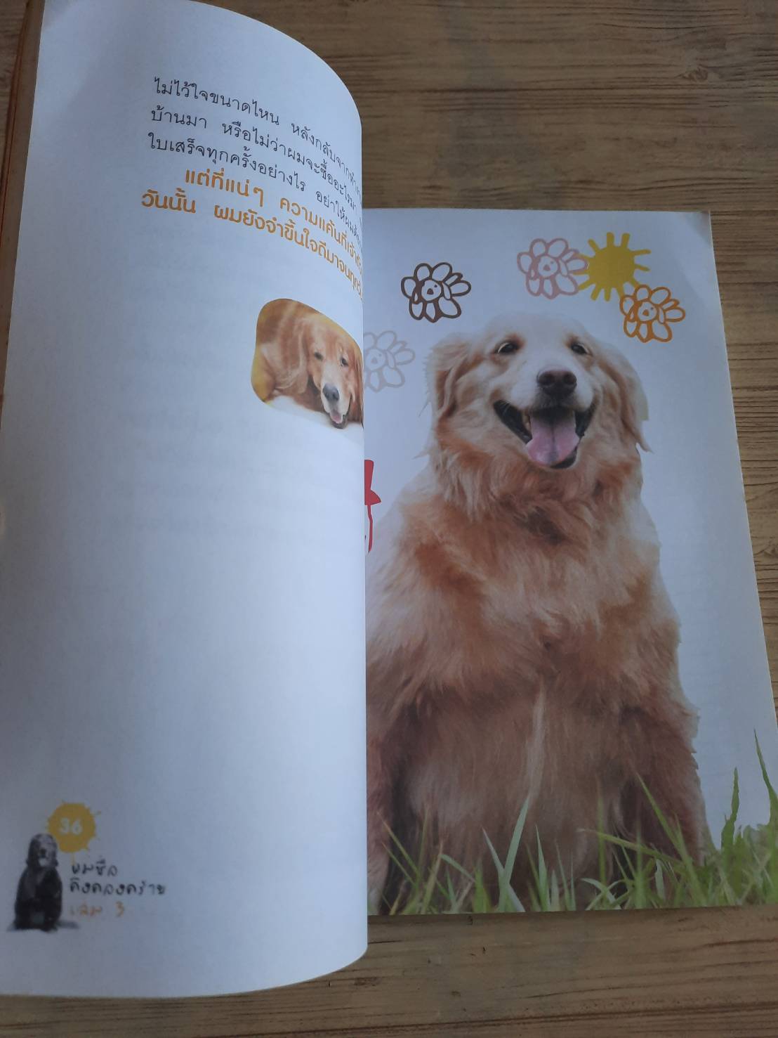 ผมชื่อคิงคองคร้าบ เล่ม 3 ตอน ซูเปอร์สตาร์สี่ขา วัสชนะ พรหมประสิทธิ์ เขียน