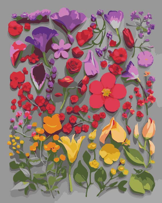 RCG012 ภาพระบายสีตามตัวเลข "กลีบดอกไม้หลายเฉดสี"