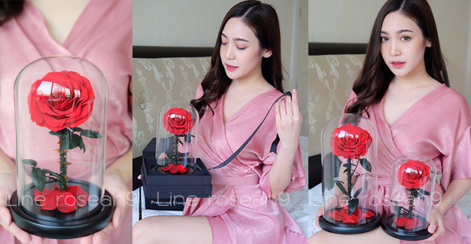 กุหลาบอมตะ กุหลาบในโหลแก้ว preservedrose กุหลาบbeauty and the beast