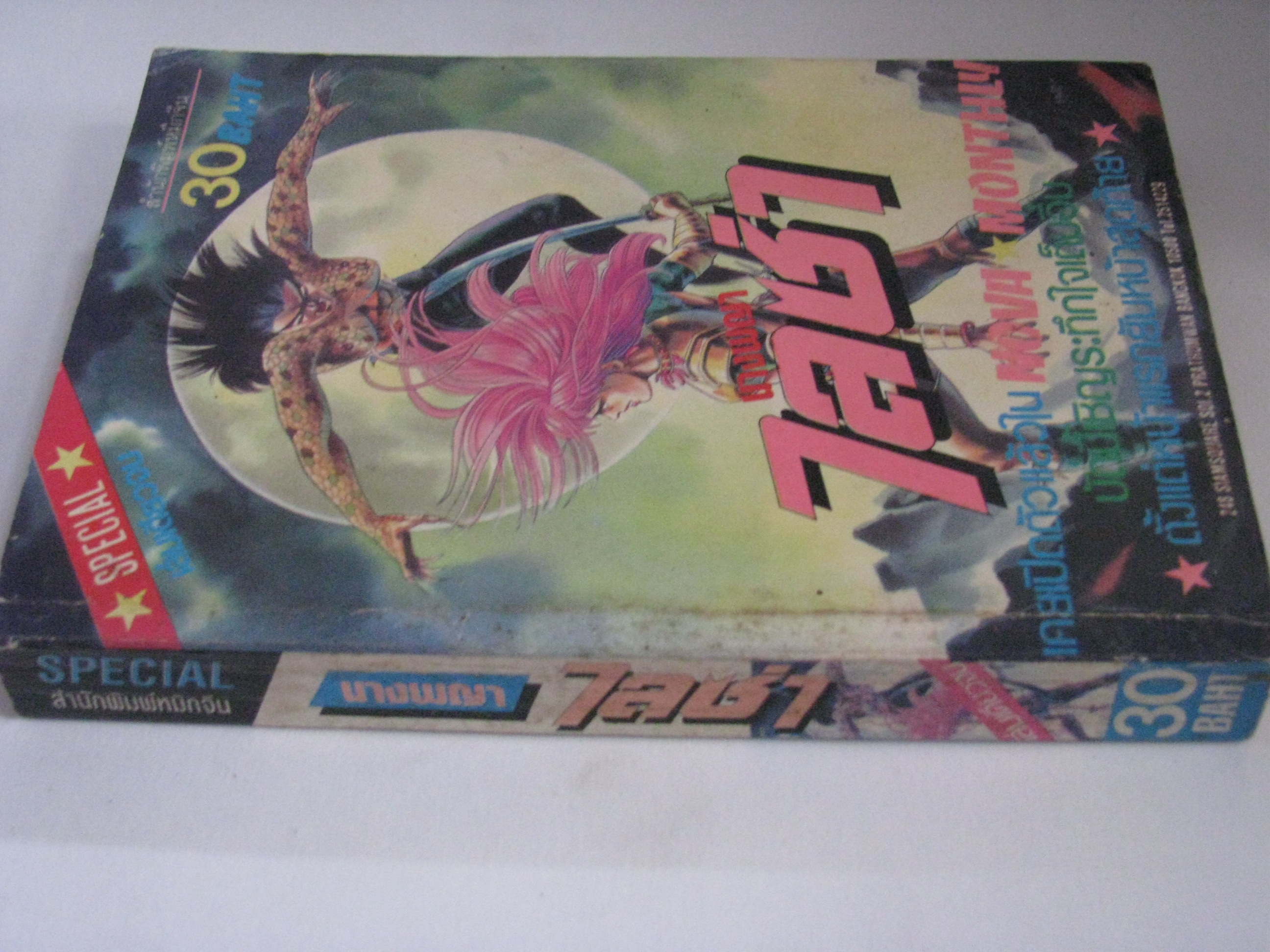 นางพญาไลซ่า เล่มเดียวจบ ***สินค้าหมด***