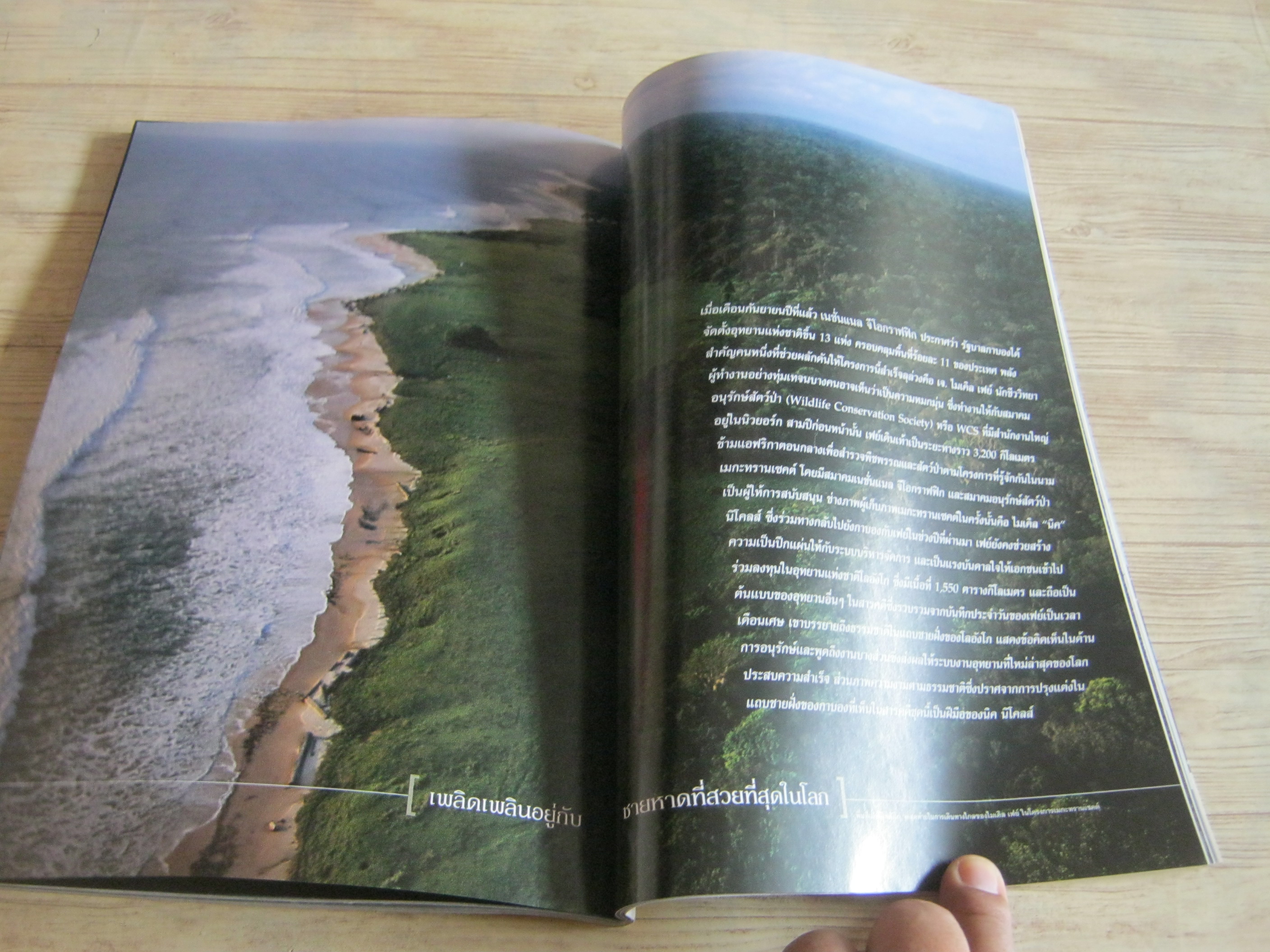 NATIONAL GEOGRAPHIC ฉบับภาษาไทย สิงหาคม 2547 ทำไมต้องอ้วน