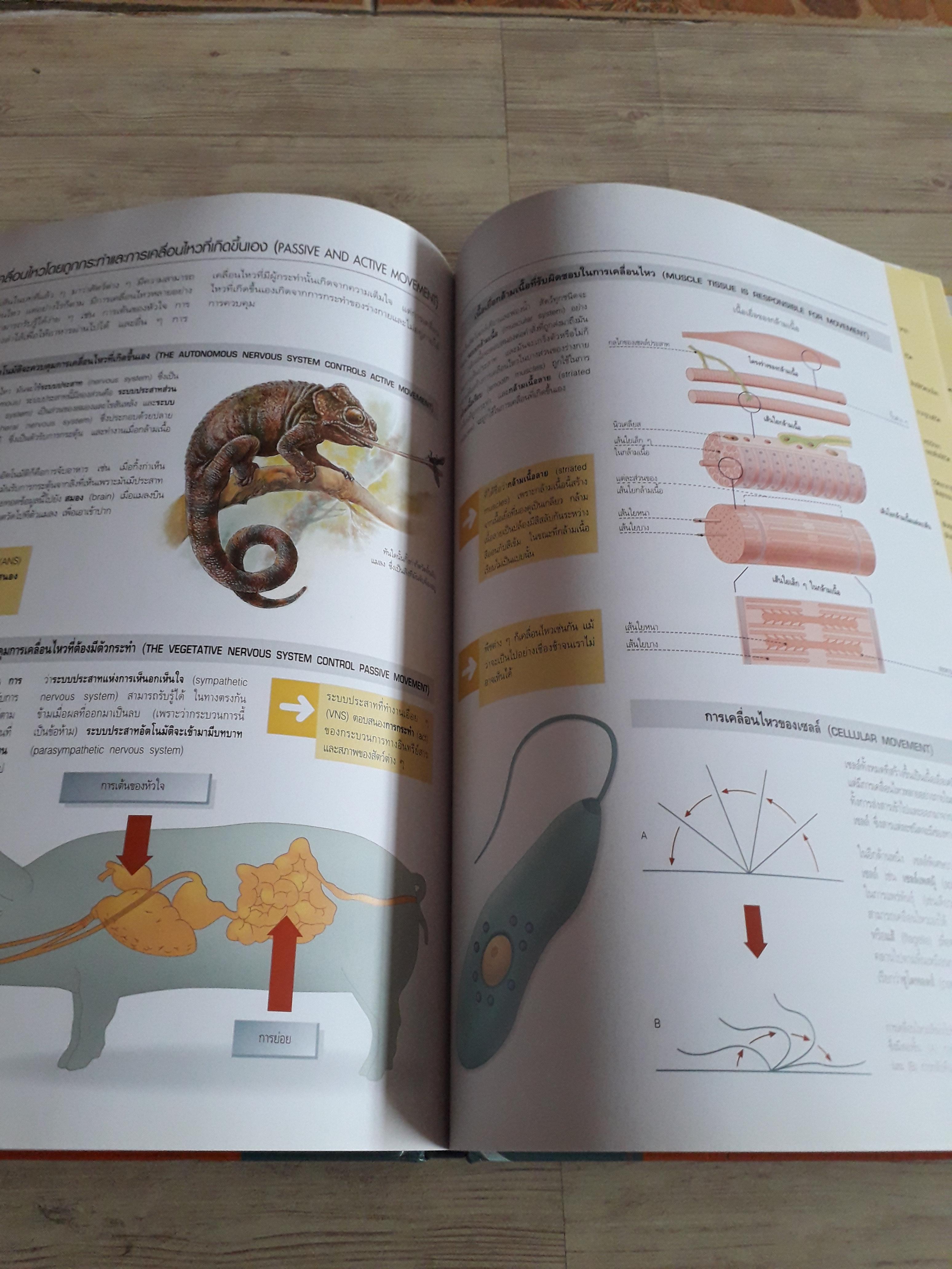 ชีววิทยา (Essential Atlas of Biology) Jose Tola เรื่อง สมใจ รักษาศรี แปล