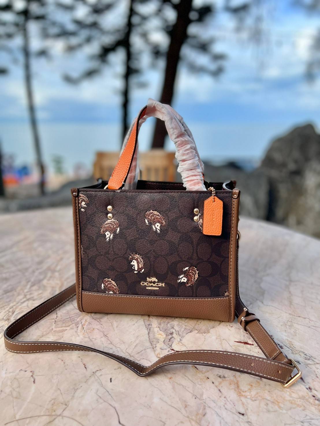 COACH DEMPSEY TOTE IN SIGNATURE CANVAS WITH HEDGEHOG PRINT 🦔 ((CC769)) เม่นเต้นรำ สวย น่ารัก มากๆค่ะ ใหม่กันต่อ ไปสวยกันให้สุดค่ะ! กับกระเป๋าทรงTOTE รุ่นใหม่ล่าสุด 🌟จุดเด่นของรุ่นนี้คือปริ้นท์ลายเม่นเต้นรำทั้งใบ น่ารักน่าเอ็นดูมากๆค่ะ เปิด