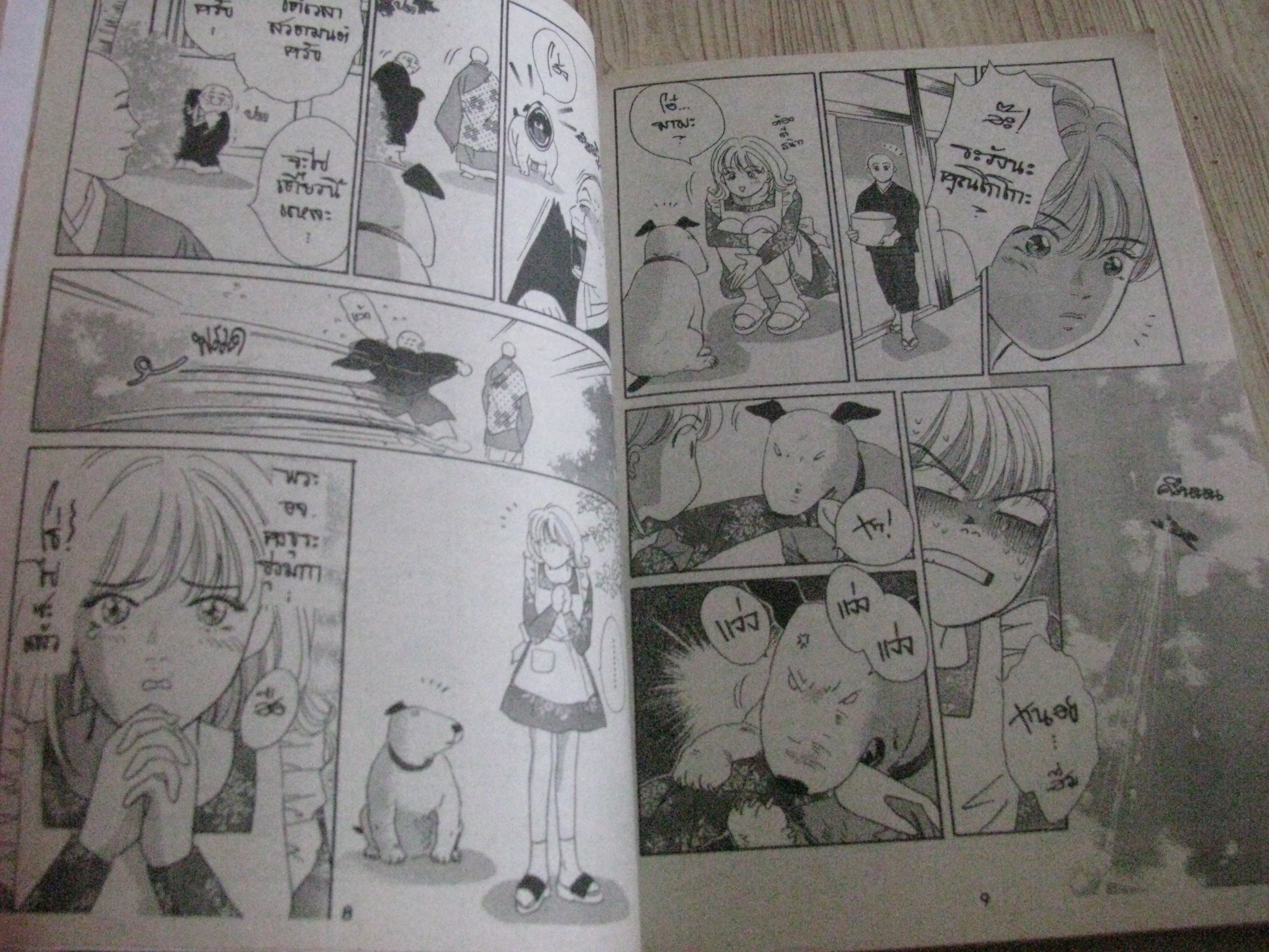 โมจิ เล่มเดียวจบ