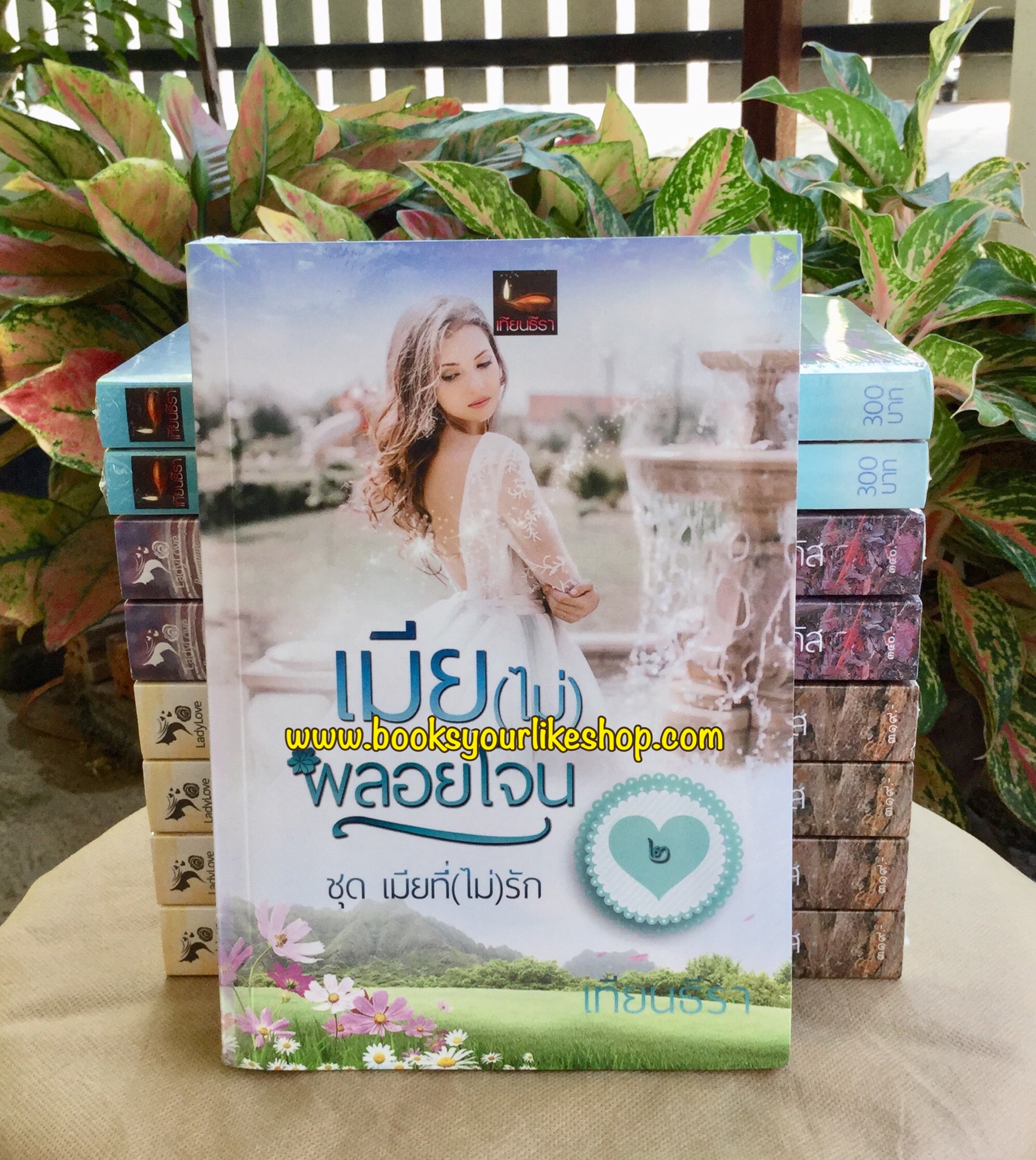 เมีย(ไม่)พลอยโจน ซีรีย์เมียที่ไม่รักเล่ม 2 ,ผู้แต่ง,เทียนธีรา ทำมือ สนุกคะ มือสองแม่ค้าอ่านคนเดียว