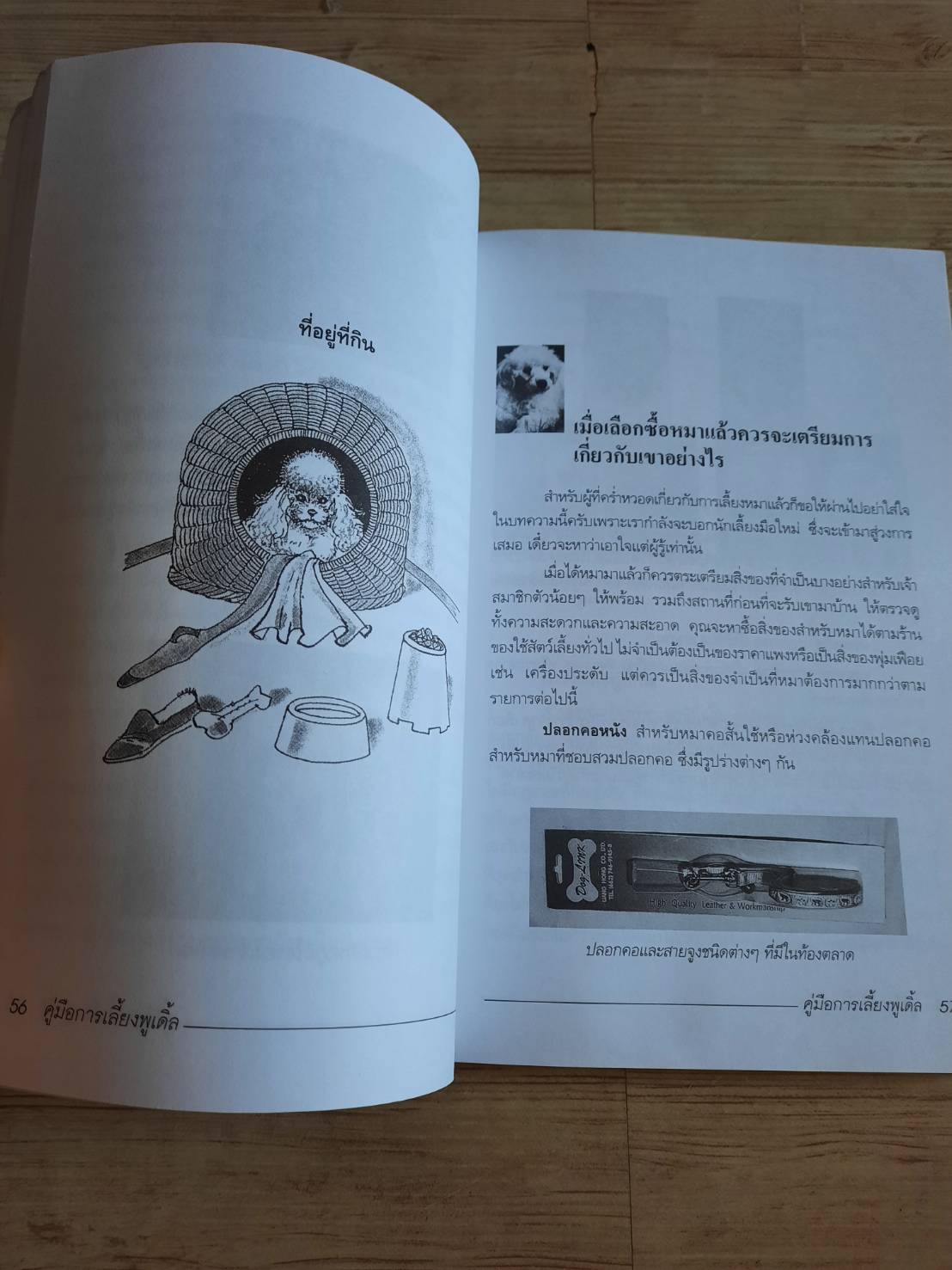 คู่มือการเลี้ยงพูเดิ้ล โดย วิชัย คูสกุล