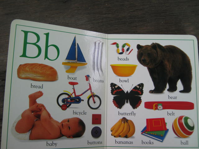 My First A B C Board Book - หนังสือเสริมพัฒนาการเด็ก 2 ภาษา มือสอง