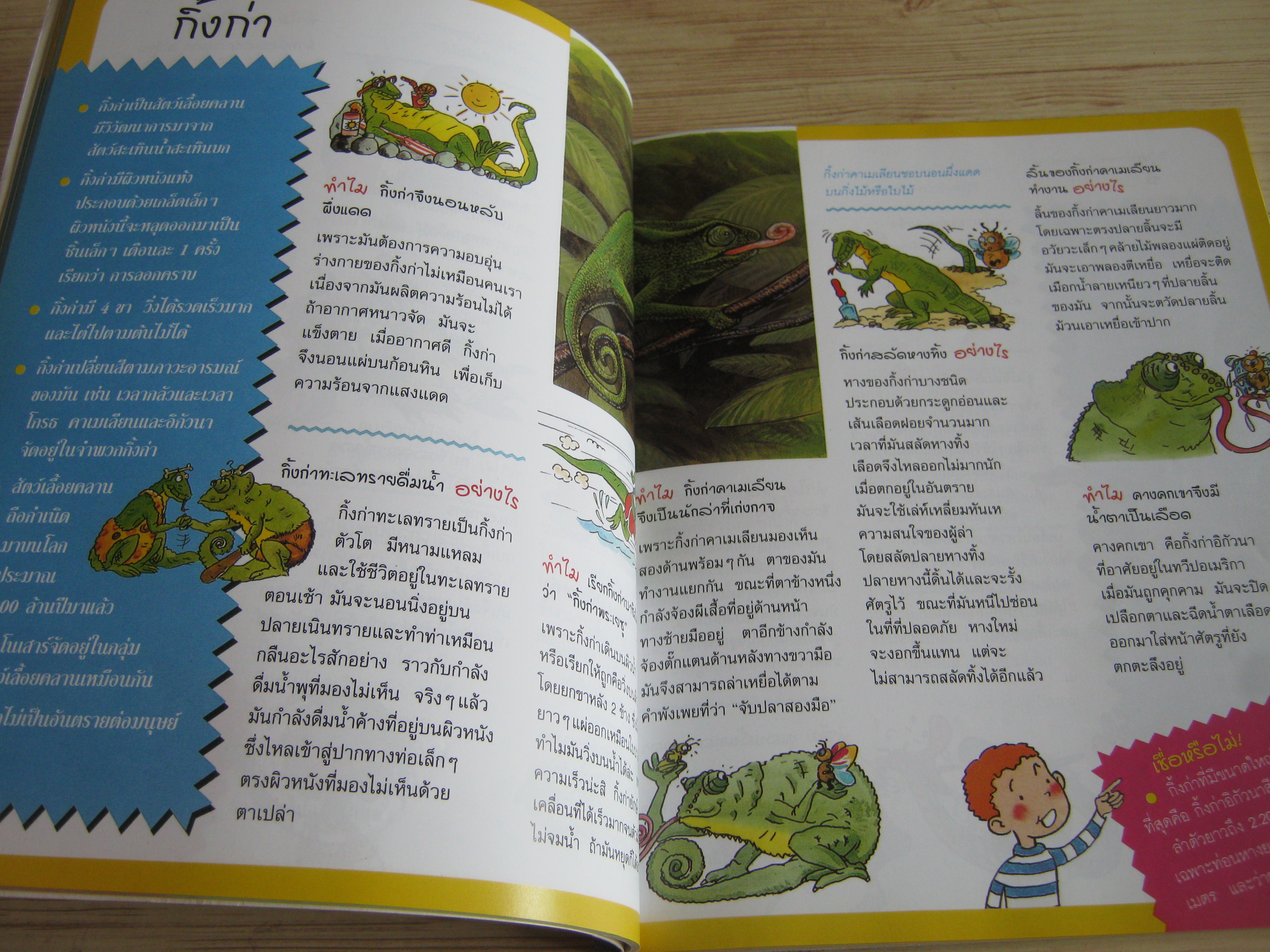 ทำไม อย่างไร ตอบข้อสงสัยในใจเด็ก ๆ ทำไมสัตว์ทำอย่างนั้นนะ ? พิมพ์ครั้งที่ 2 Emmanuelle Paroissien เขียน วีณา อุณจักร แปล