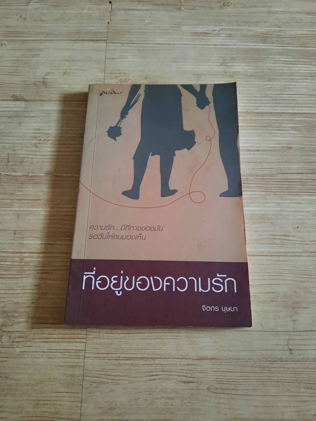 ที่อยู่ของความรัก จิตกร บุษบา เขียน