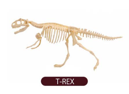 ของเล่นชุดขุดฟอสซิลโครงกระดูกไดโนเสาร์สำหรับเด็ก