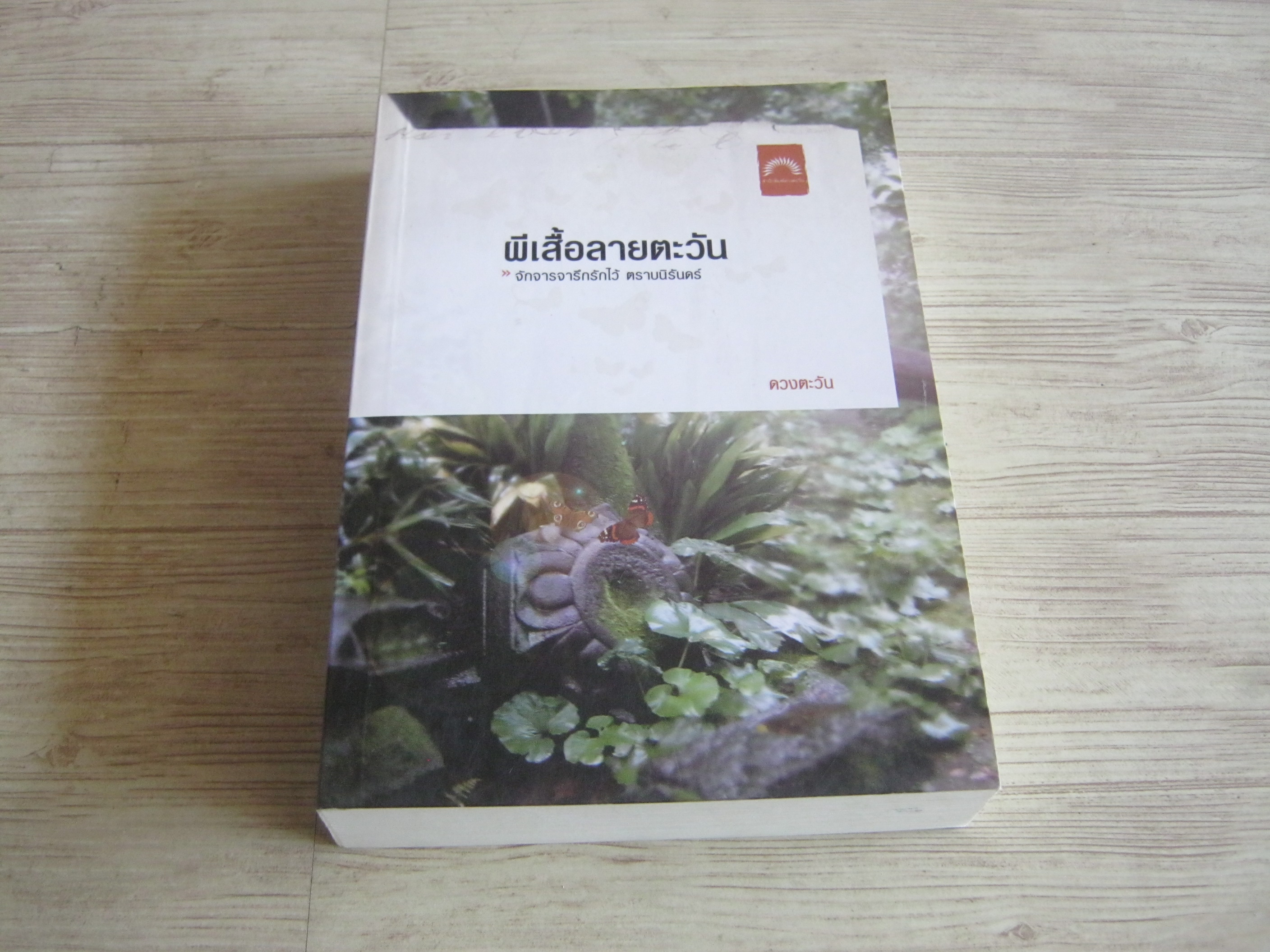 ผีเสื้อลายตะวัน ดวงตะวัน เขียน