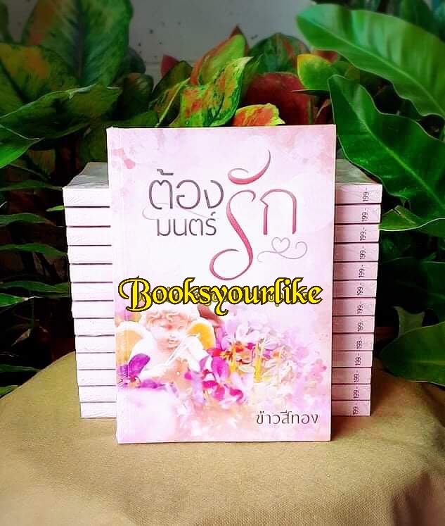 จับคู่ส่งฟรี,ต้องมนตร์รัก,ผู้แต่ง,ข้าวสีทอง,นิยายรักทำมือ,สนุกแนะนำค่ะ