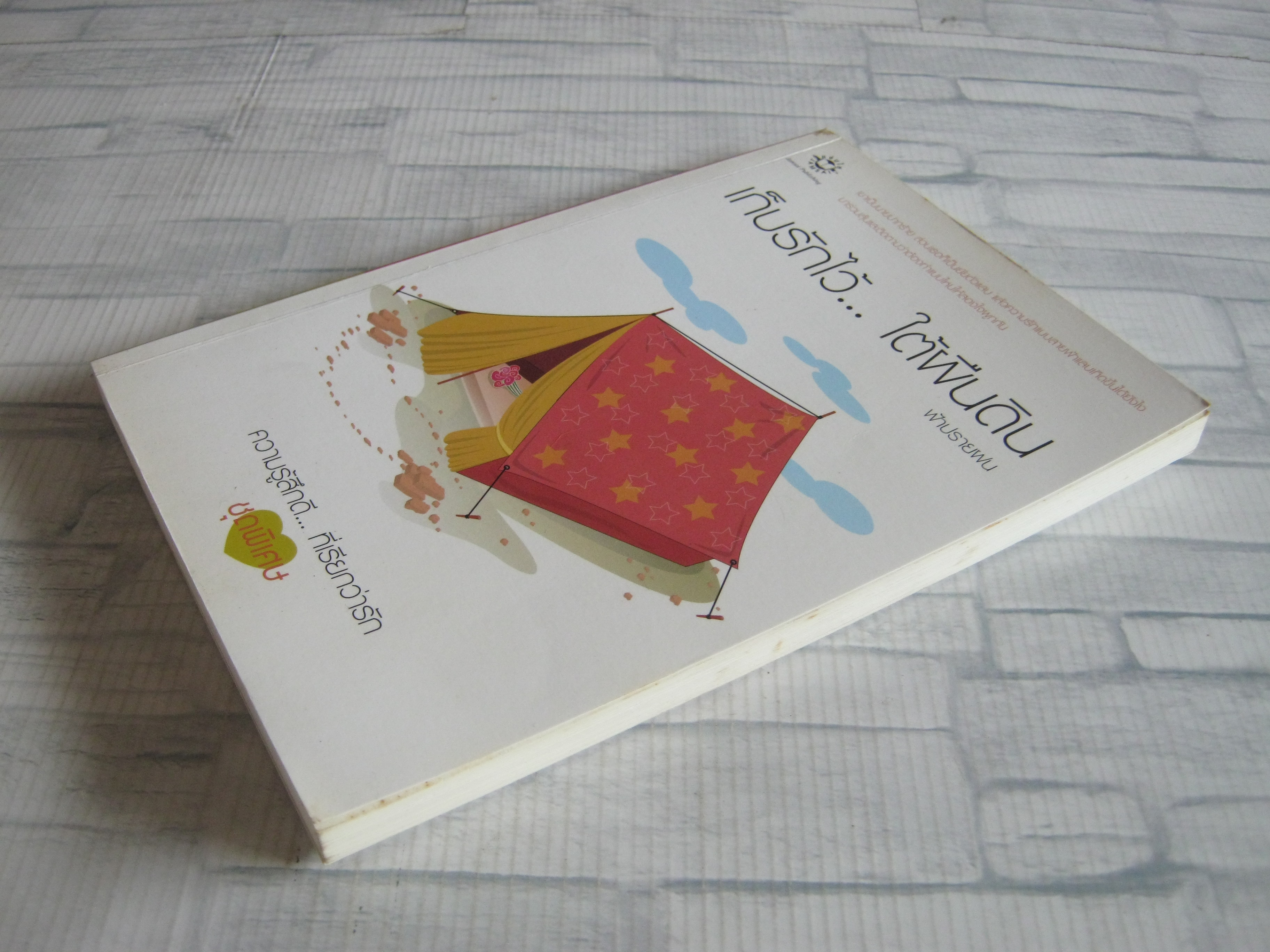 เก็บรักไว้... ใต้ผืนดิน ฟ้าปรายฝน เขียน