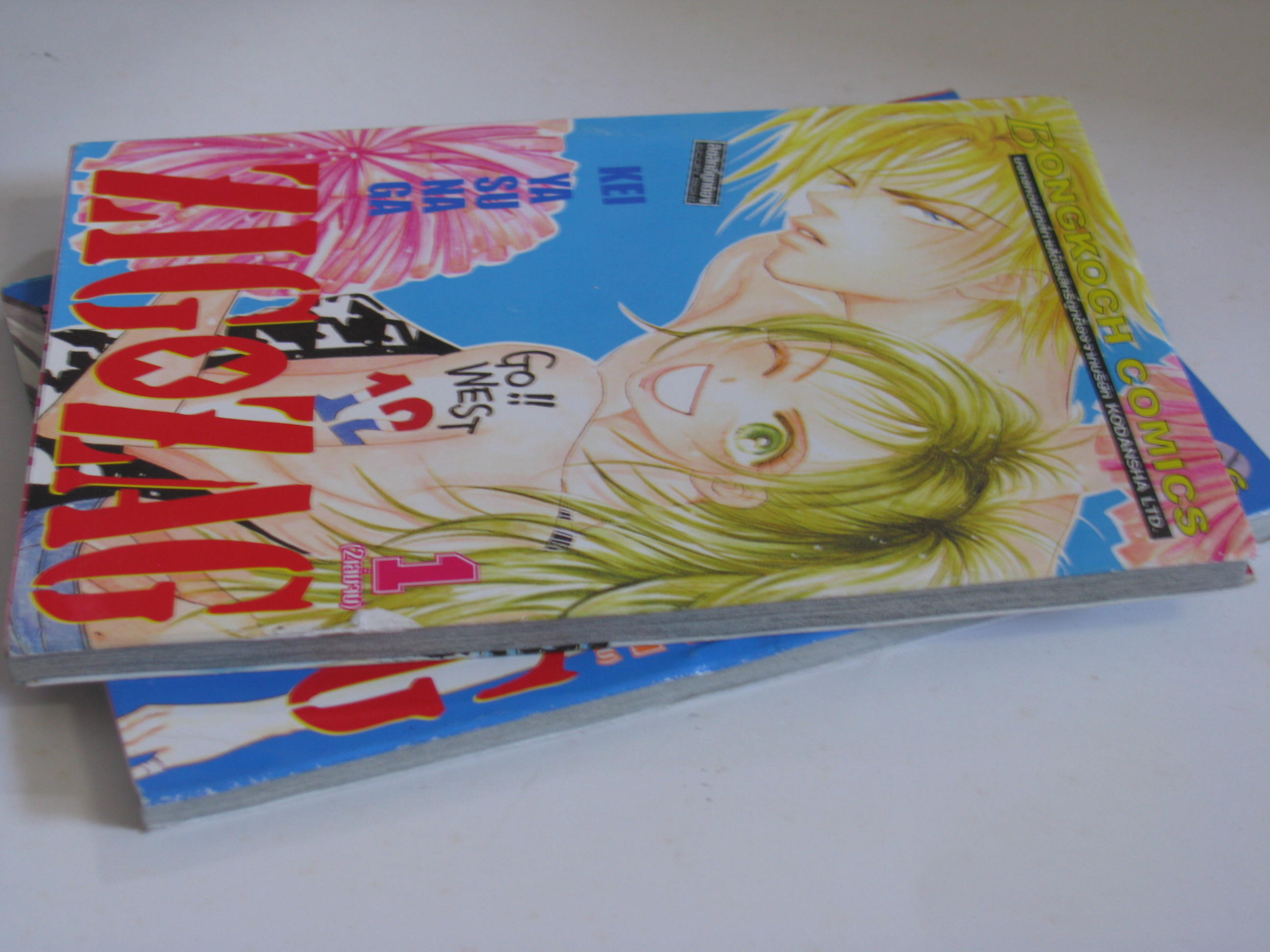 ZIG x ZAG 2 เล่มจบชุด Kei Yasunaga เขียน ***สินค้าหมด***
