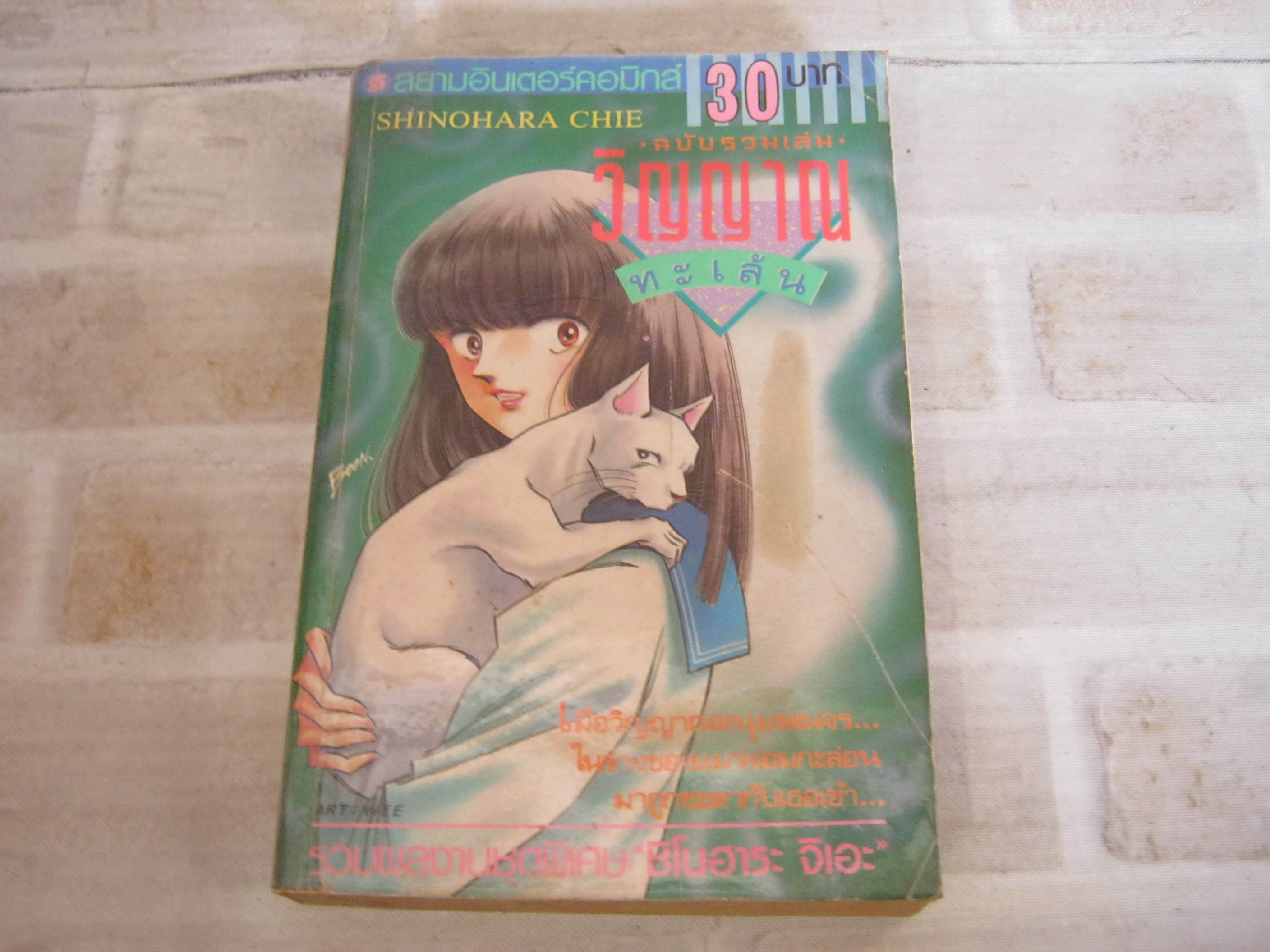 วิญญาณทะเล้น ฉบับรวมเล่ม ชิโนฮาระ จิเอะ เขียน