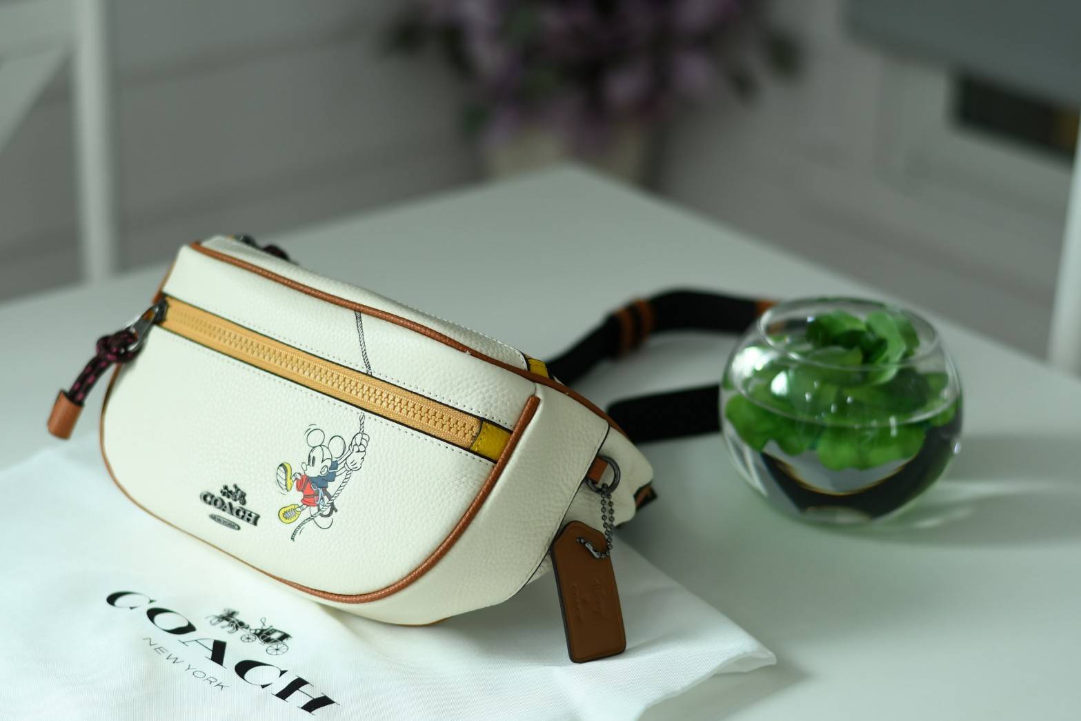 ของแท้ 💯% Coach Micky Mouse Disney Chest Bag 3747 collection Japan Limited Edition Women’s Full Leather กระเป๋าสะพายคาดอก/เอว ขนาดพอเหมาะ ใส่มือถือ iphone+ เปิดปิดด้วยซิป ด้านหน้ามี Logo mickey mouse