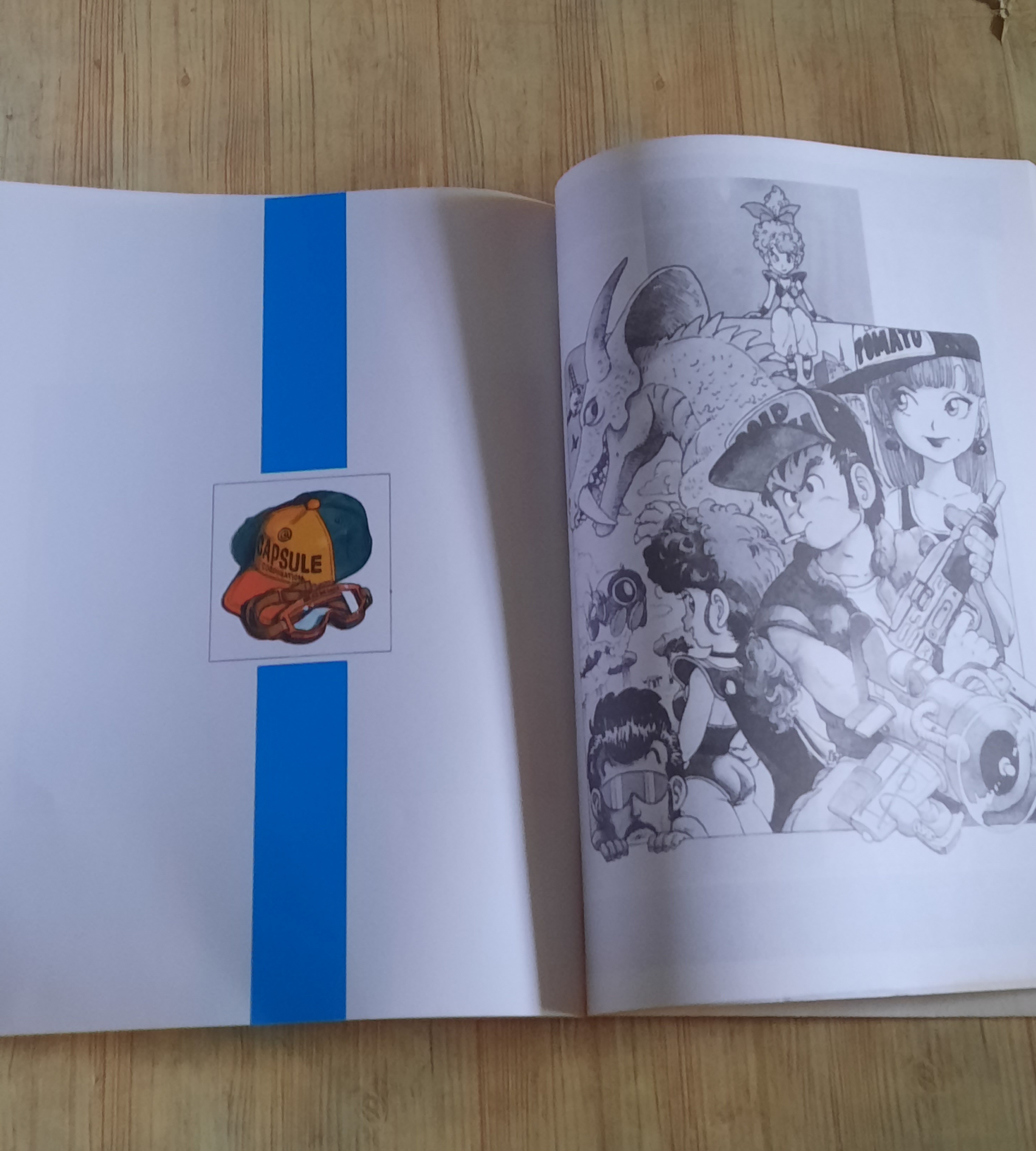 อัลบั้มภาพสีรวมผลงาน โทริยามะ อากิระ